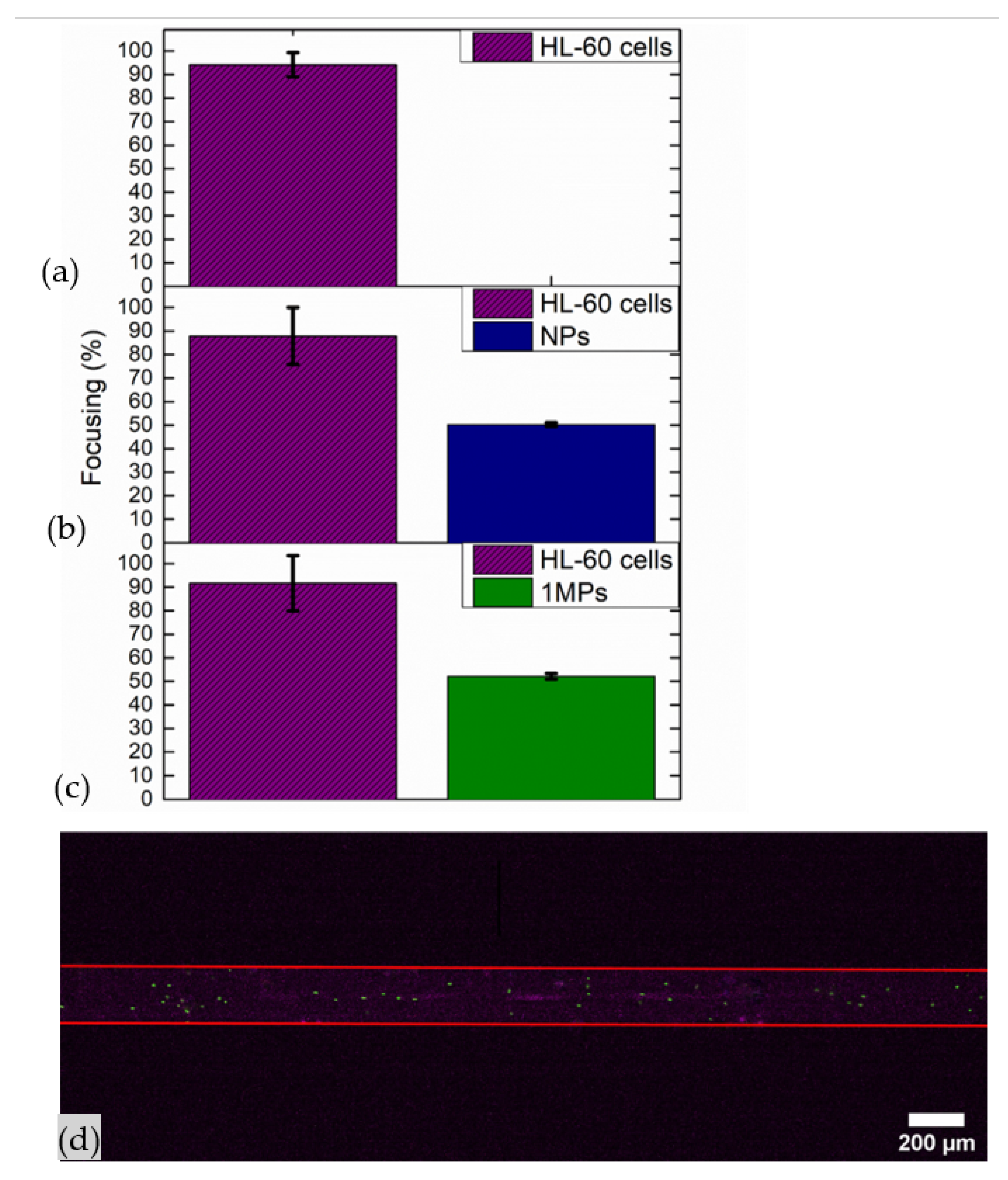 Nanomaterials 11 02630 g013