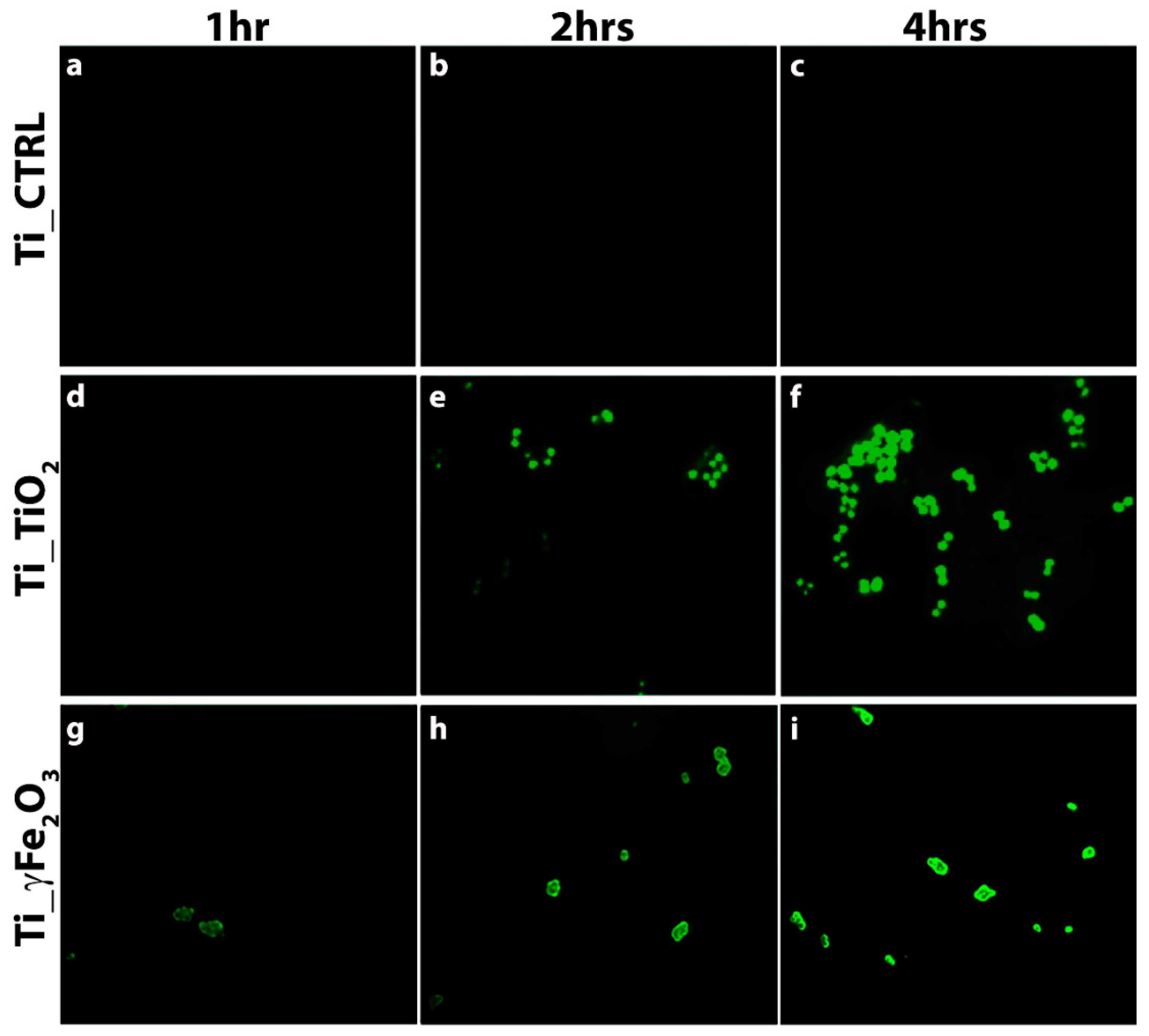 Nanomaterials 11 02634 g007 550