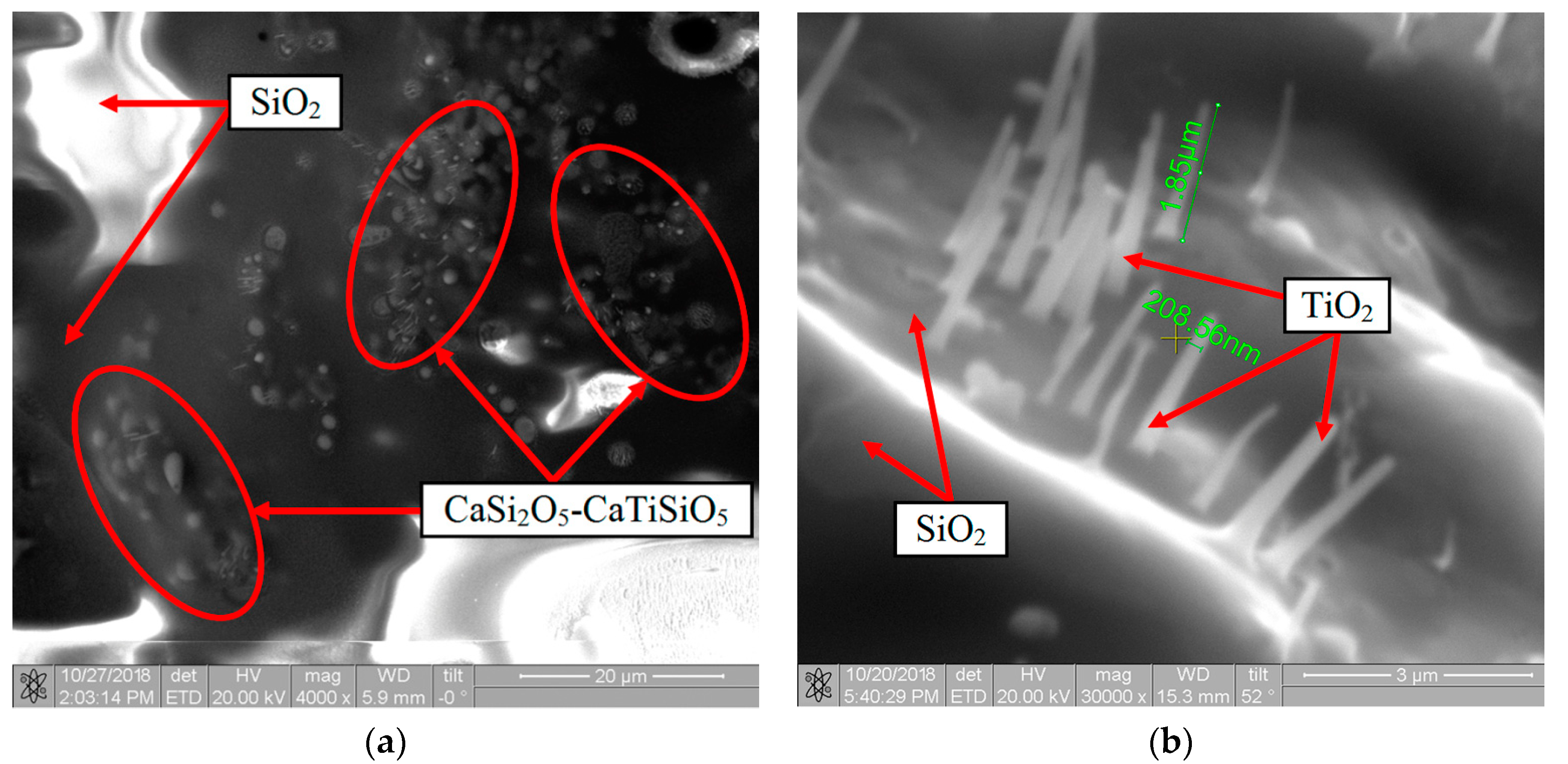Nanomaterials 11 02637 g012 550