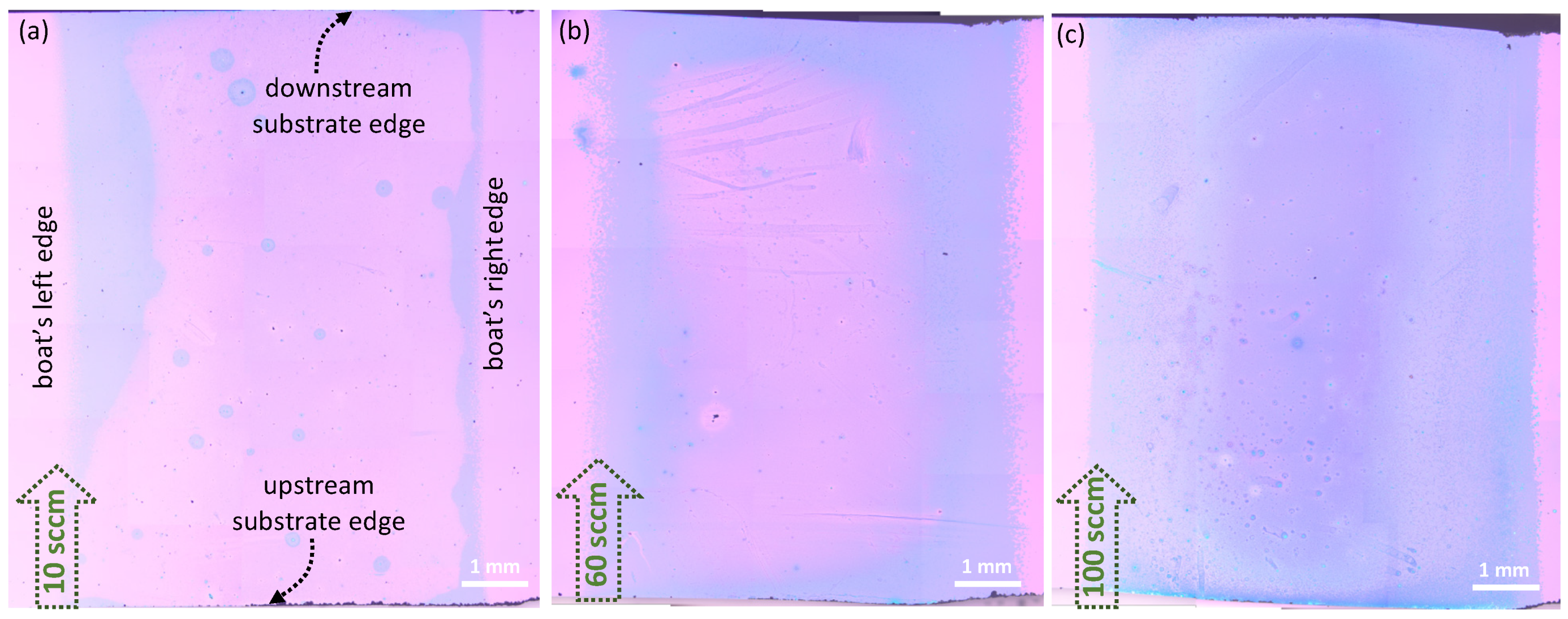 Nanomaterials 11 02642 g008