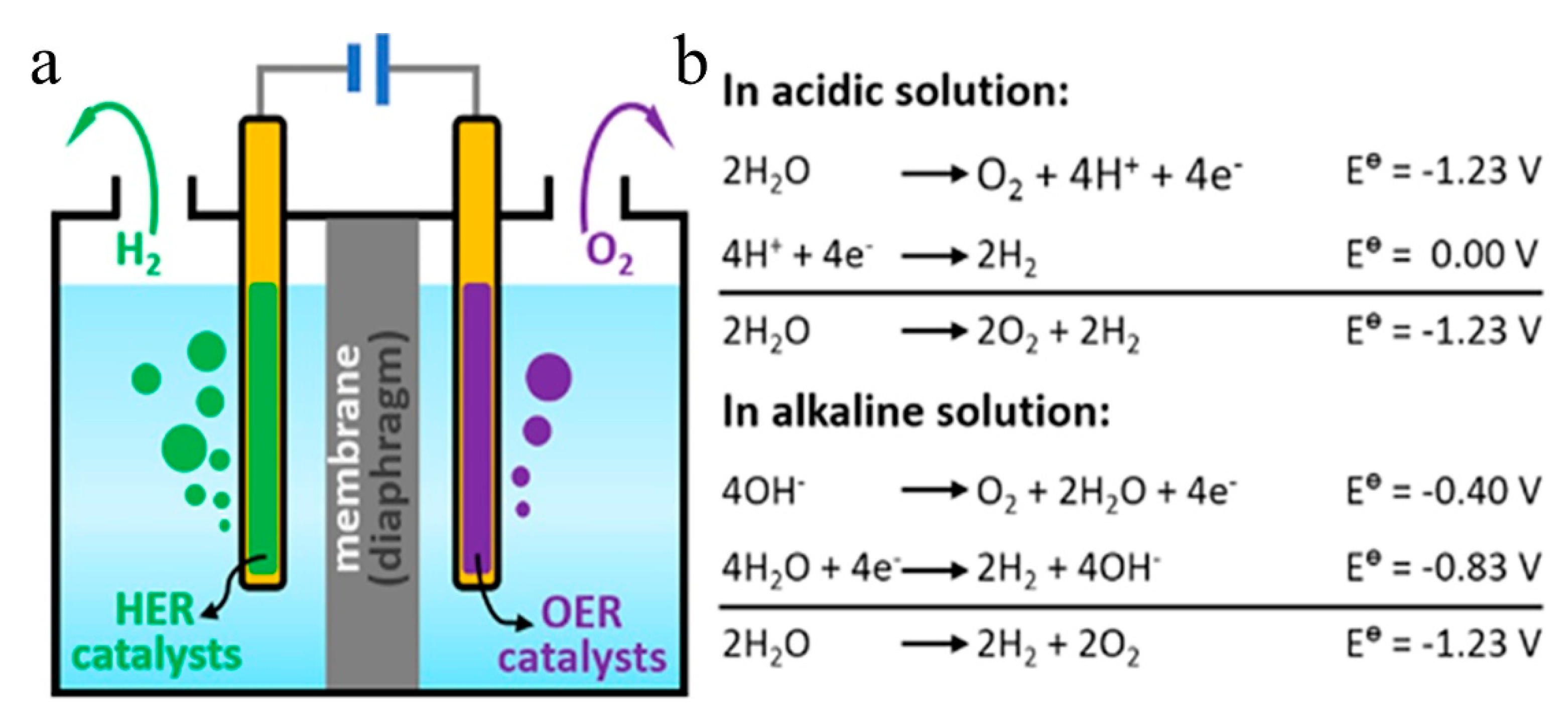 Nanomaterials 11 02644 g001