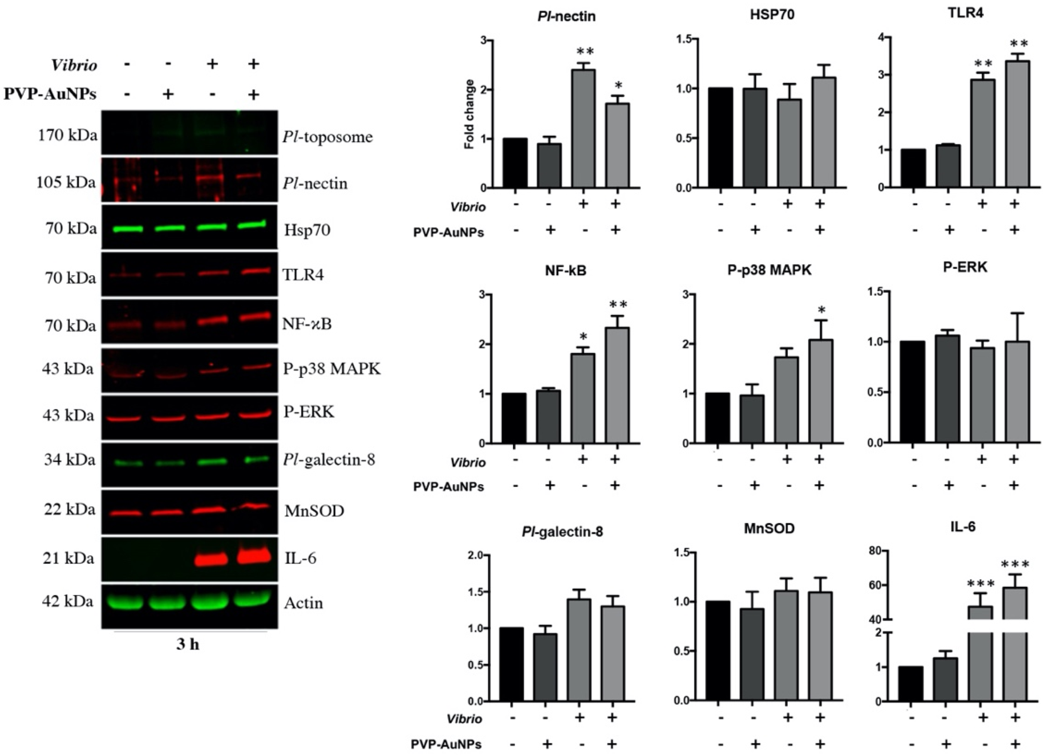 Nanomaterials 11 02646 g005 Nanomaterials 11 02646 g005