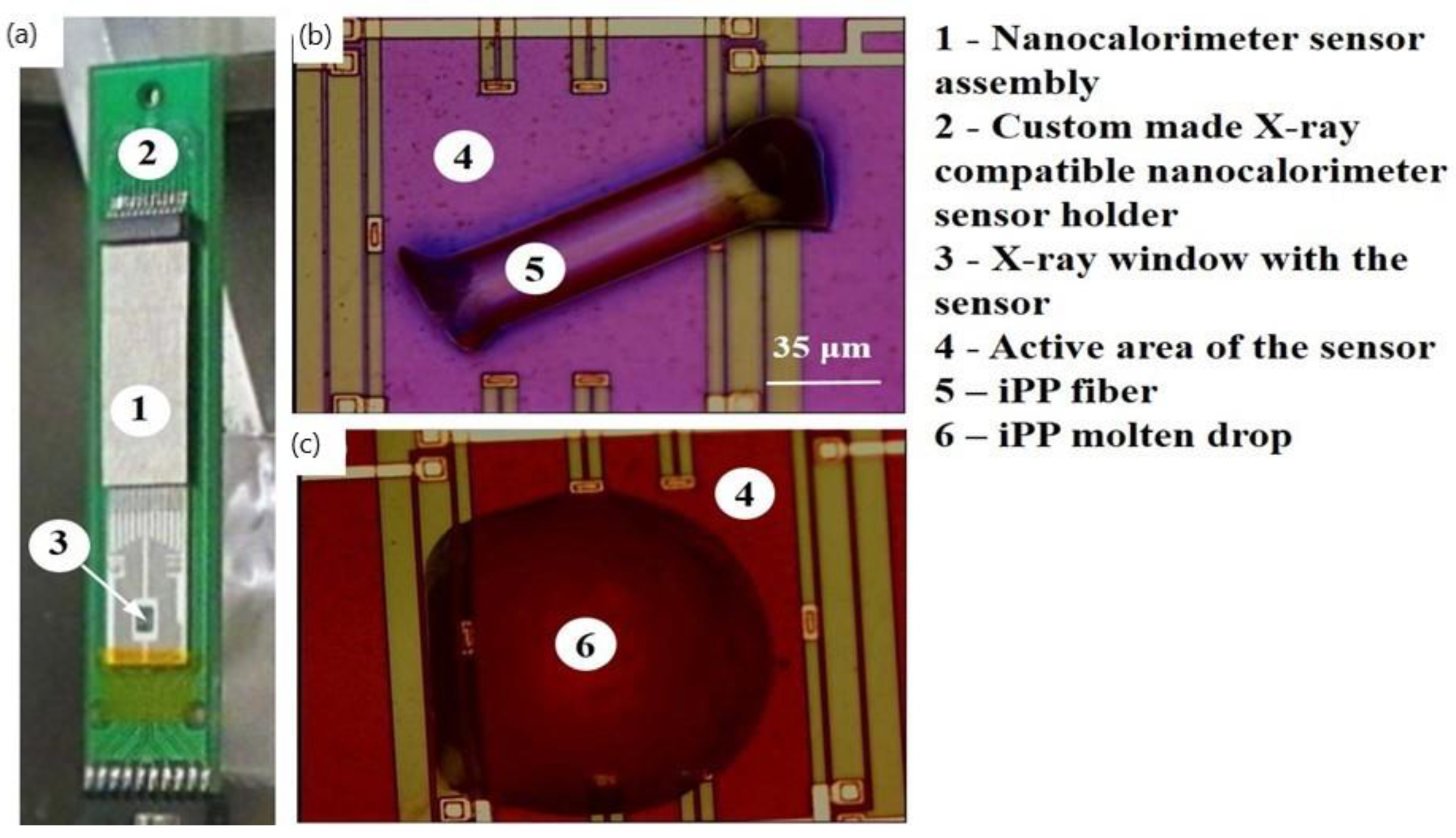 Nanomaterials 11 02652 g001 550