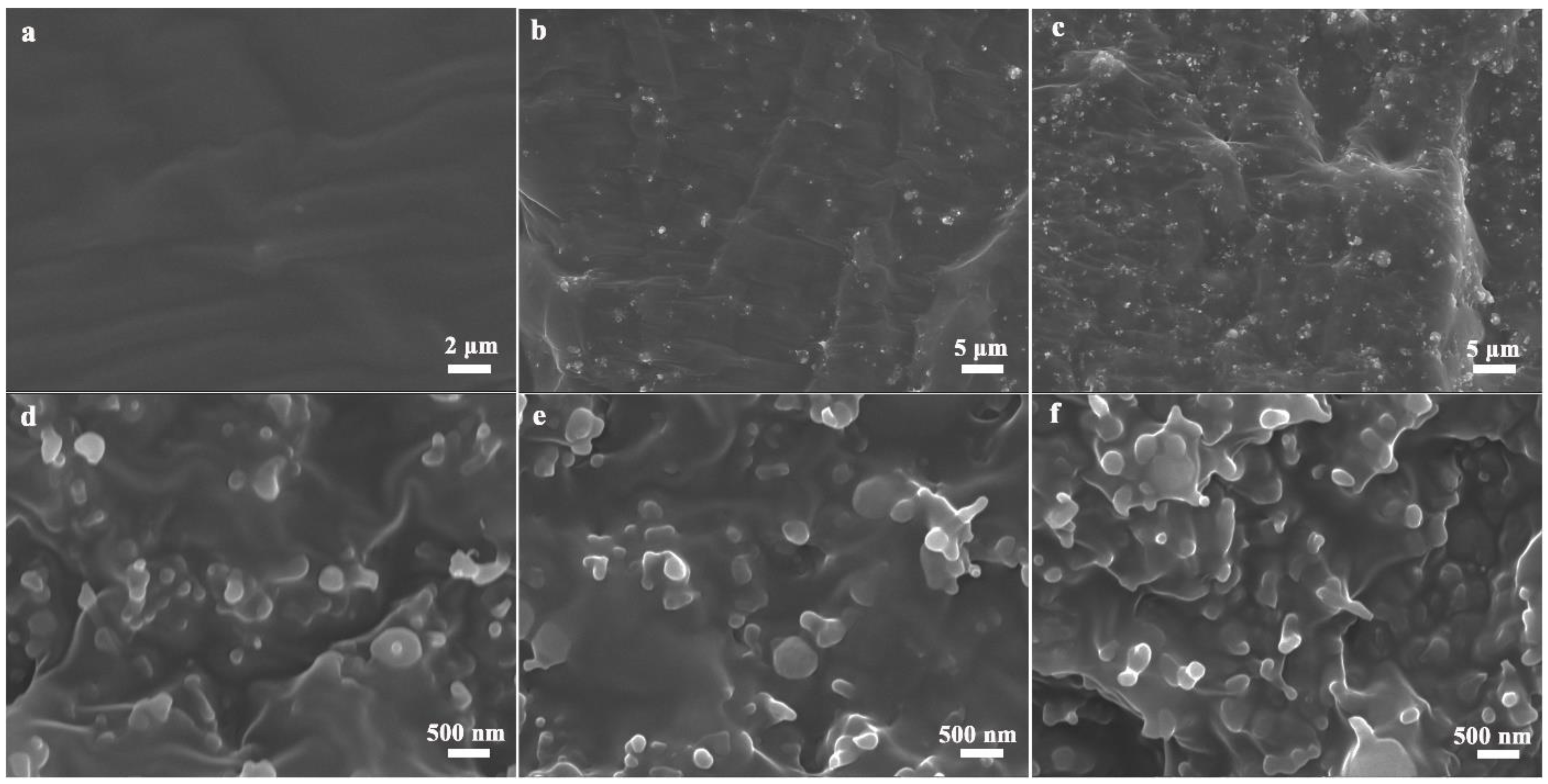 Nanomaterials 11 02654 g002