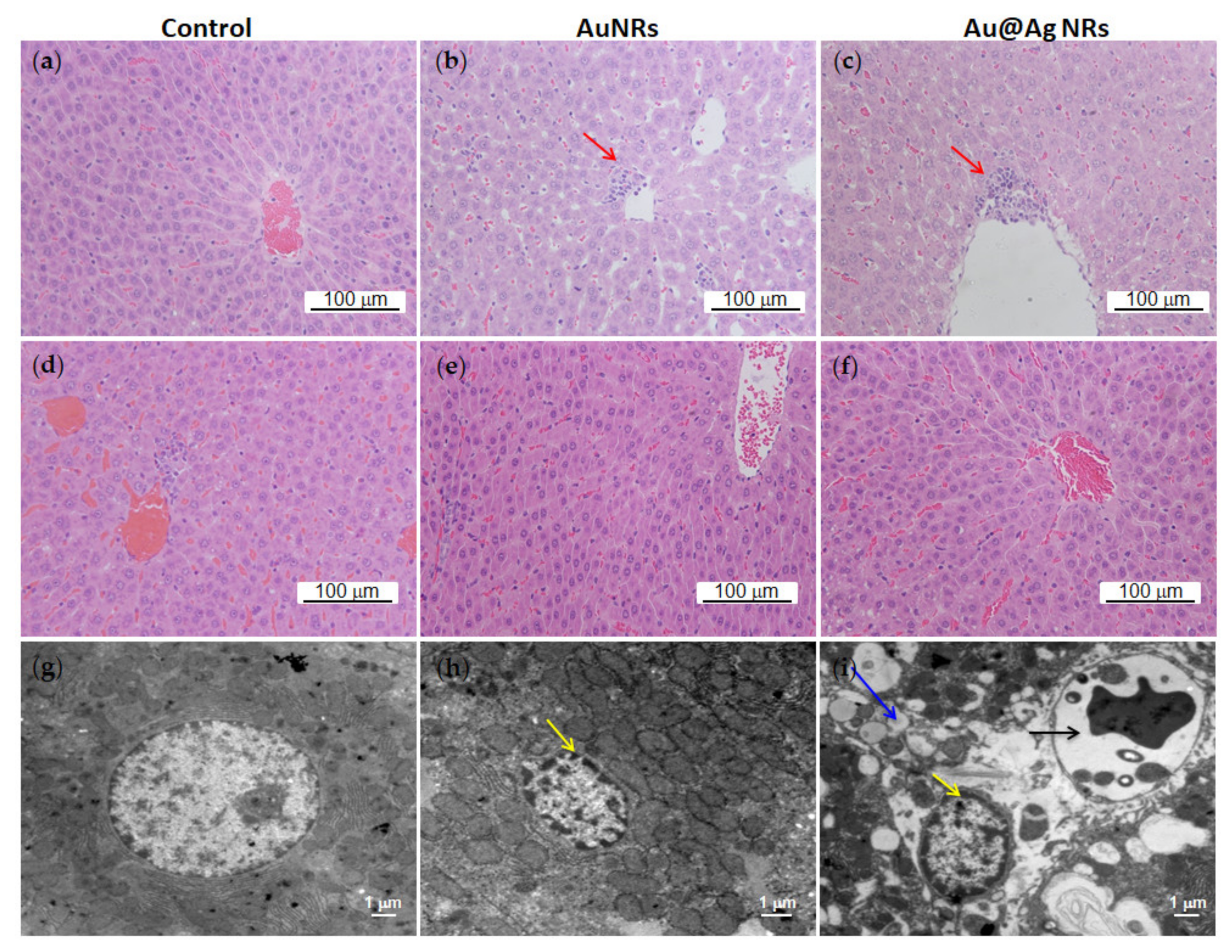 Nanomaterials 11 02656 g004