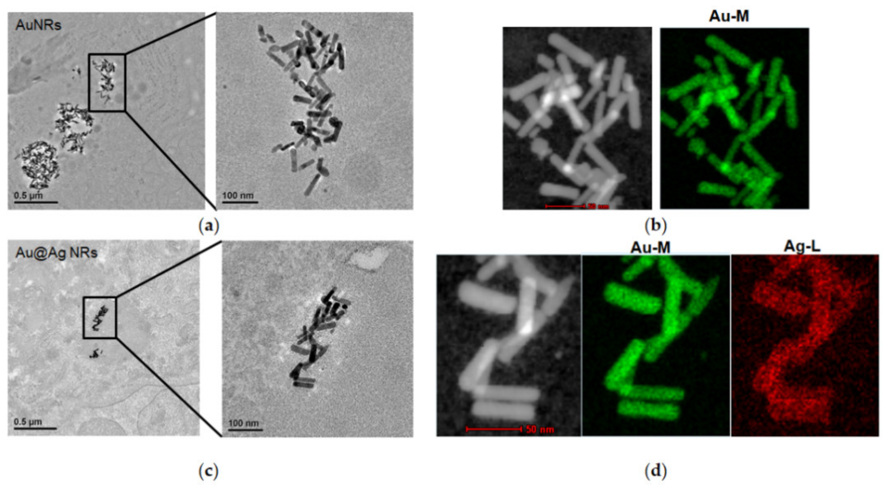 Nanomaterials 11 02656 g005