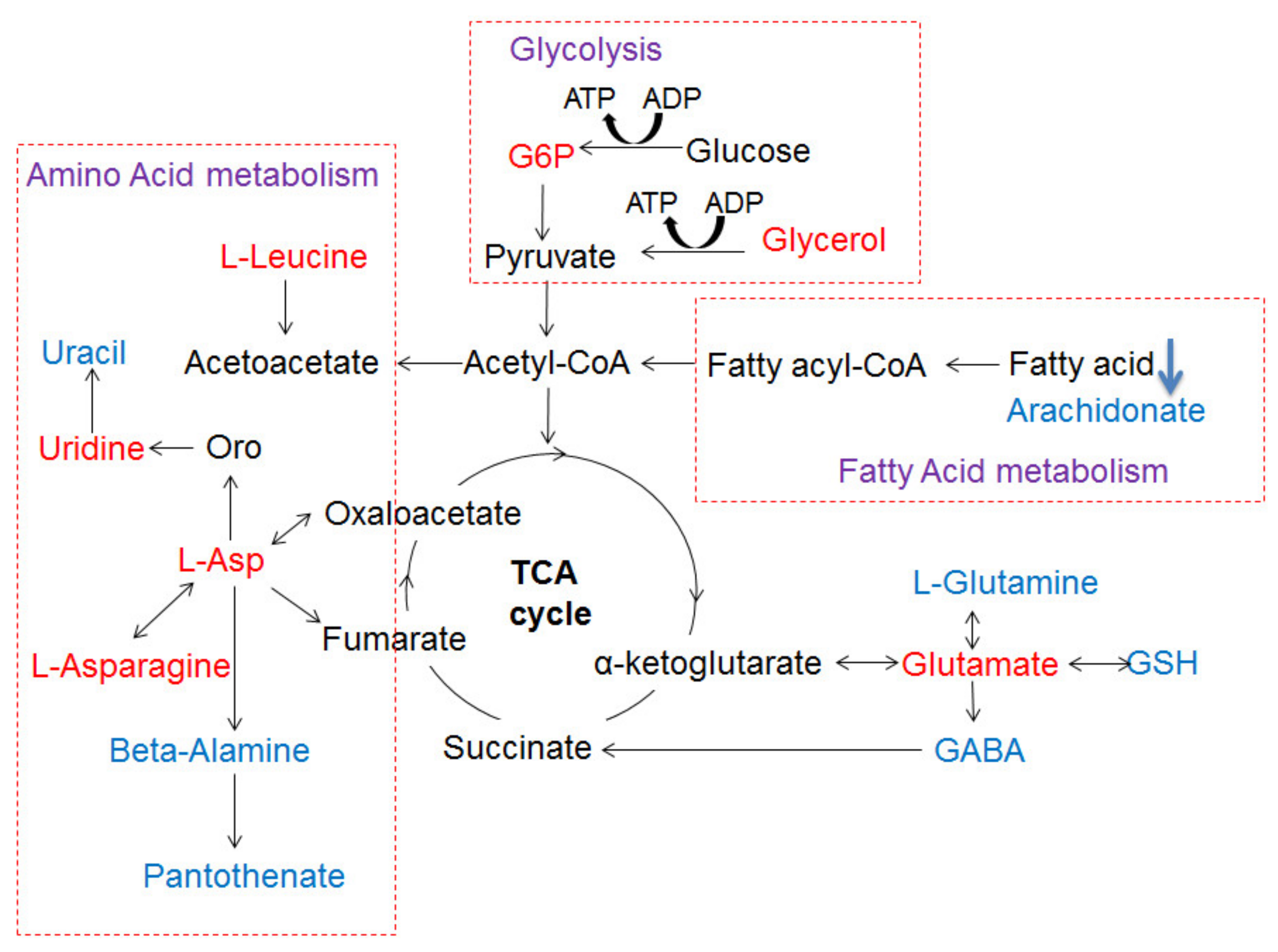 Nanomaterials 11 02656 g007
