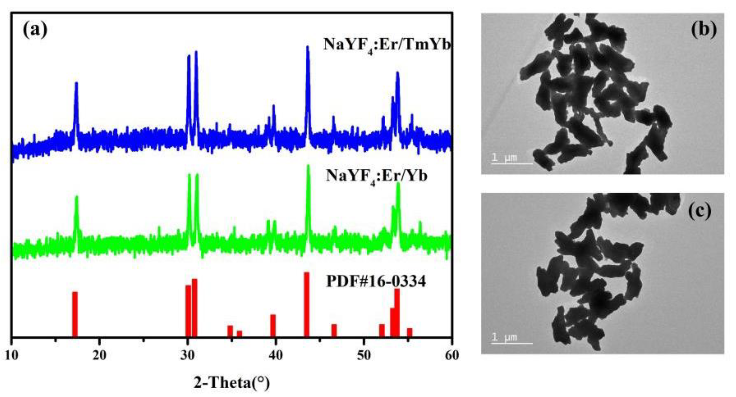 Nanomaterials 11 02660 g001