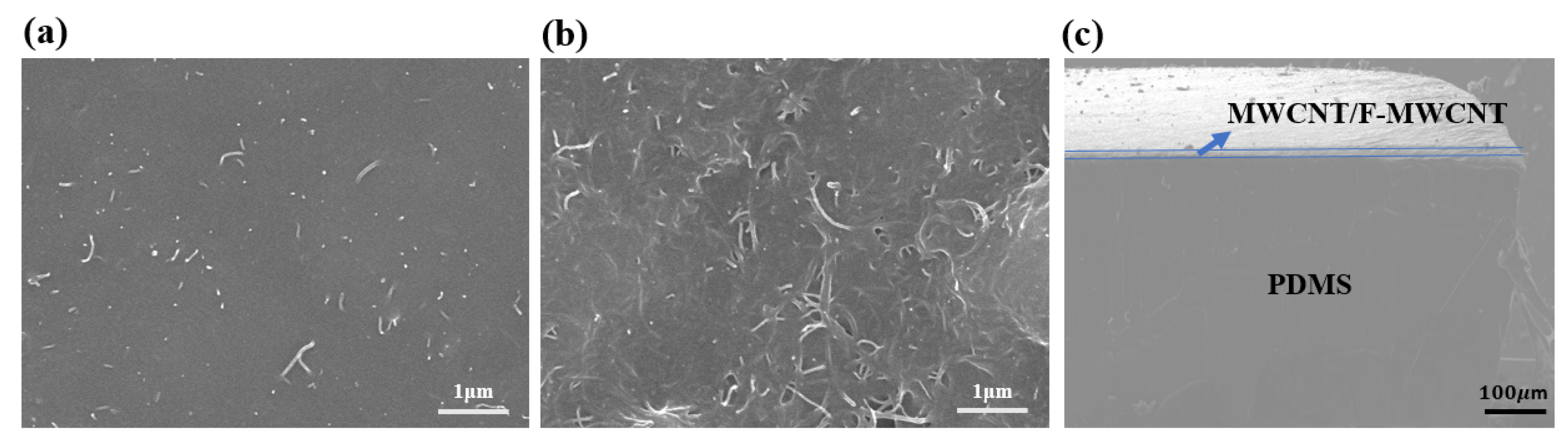 Nanomaterials 11 02661 g003