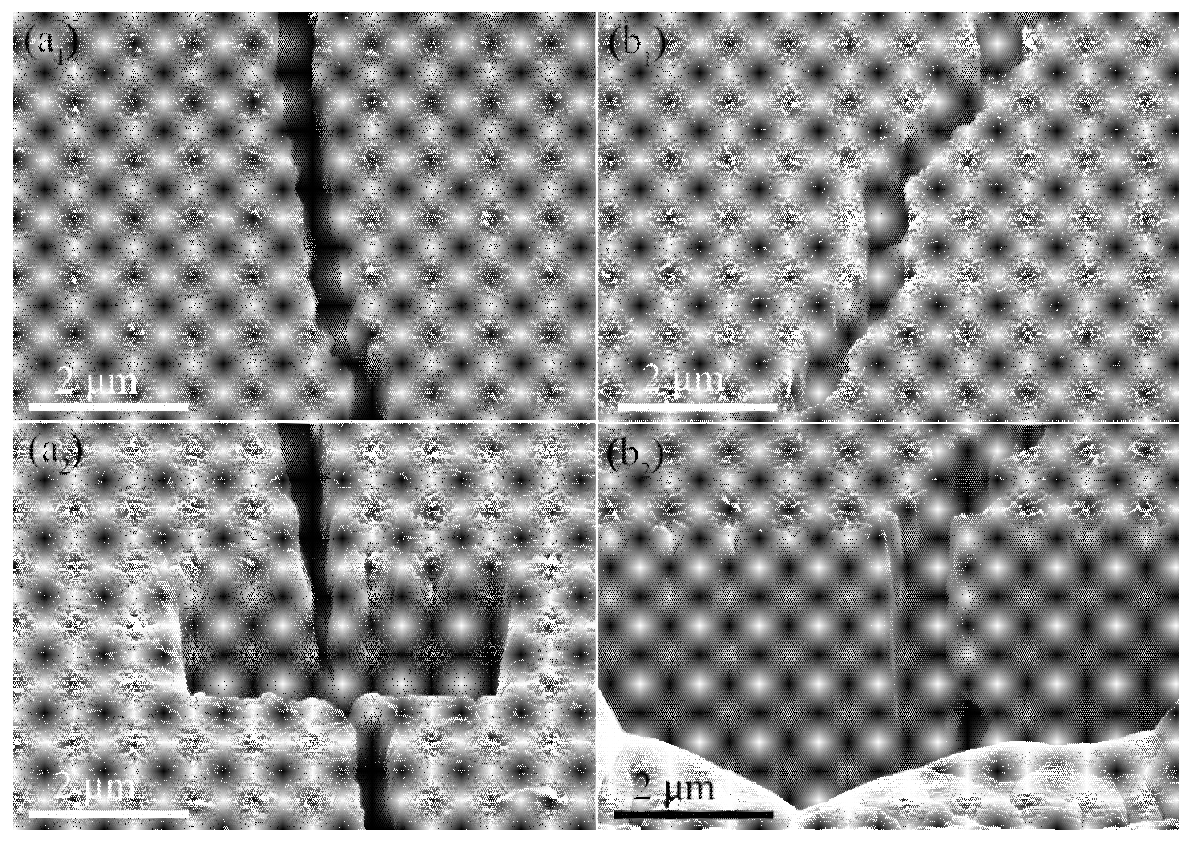 Nanomaterials 11 02663 g004 Nanomaterials 11 02663 g004