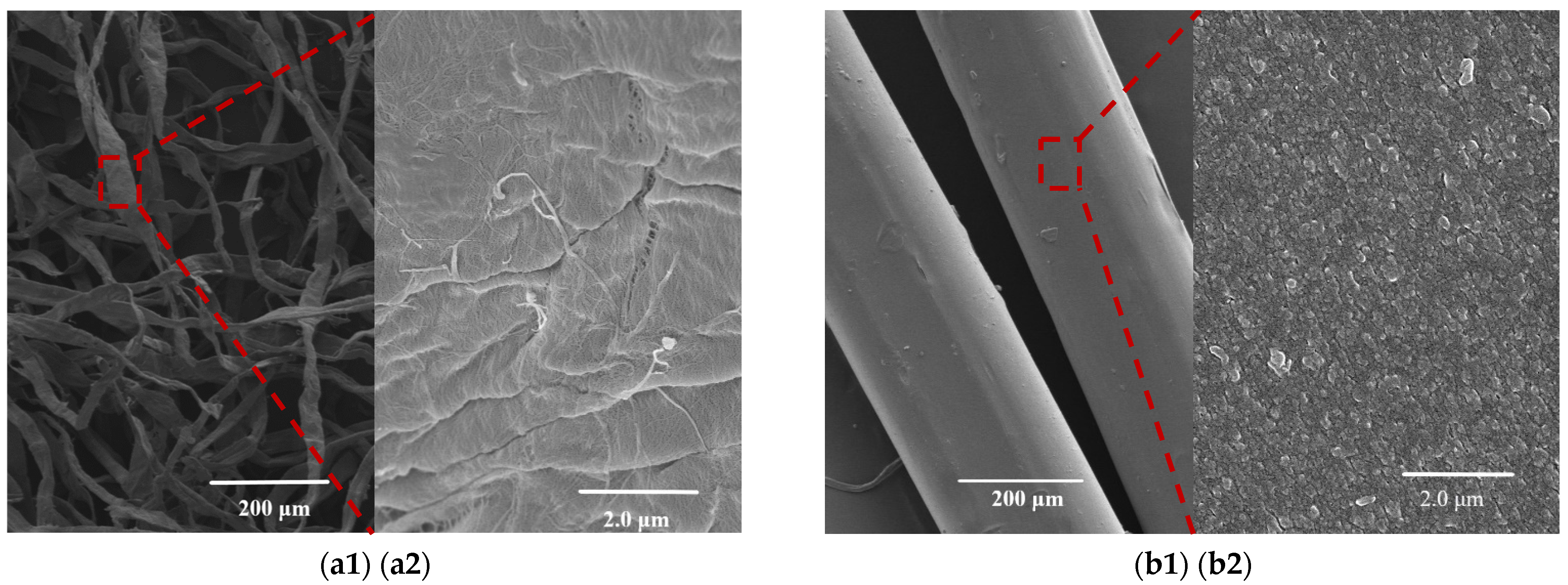 Nanomaterials 11 02664 g004a