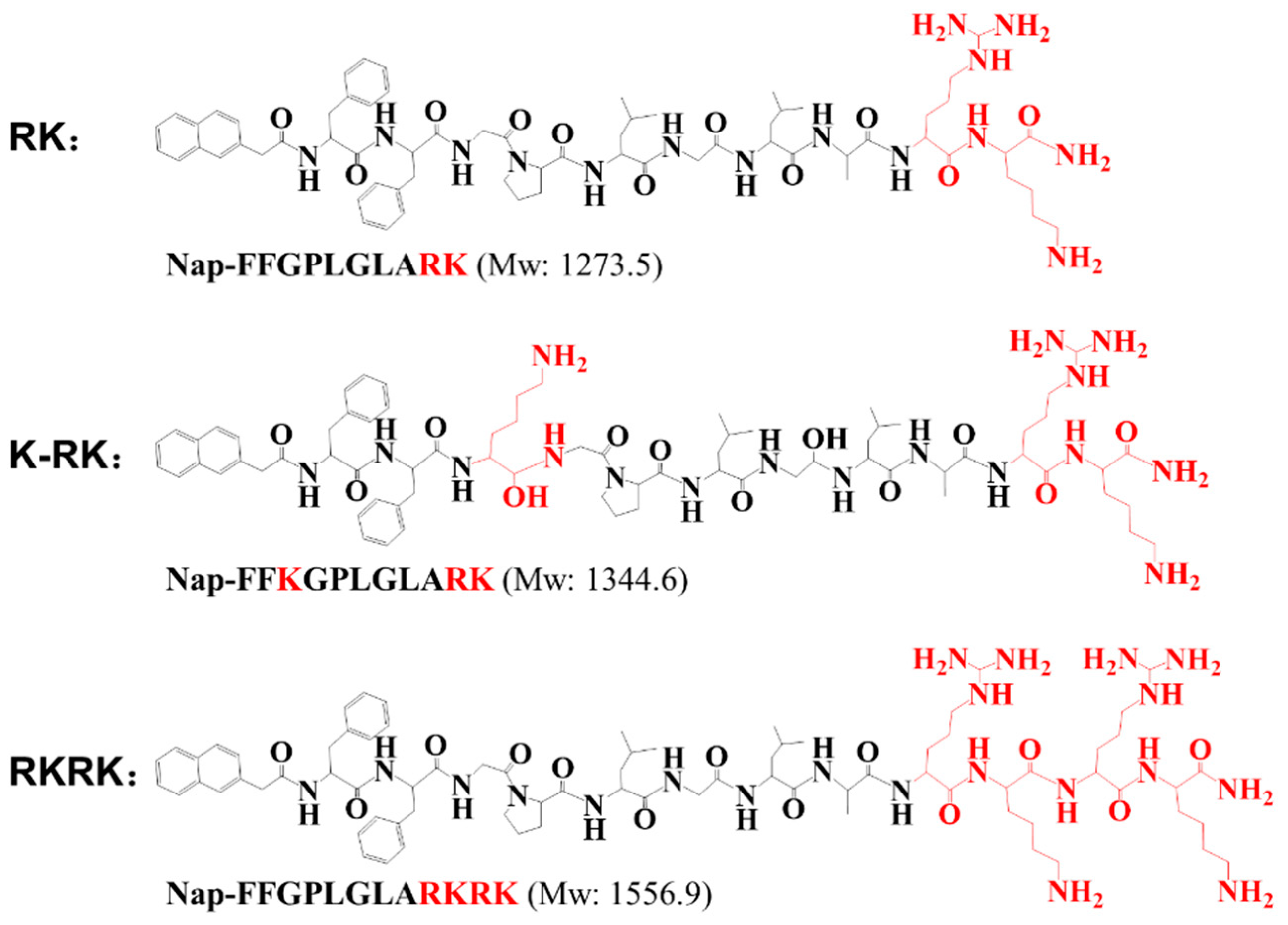 Nanomaterials 11 02665 g001