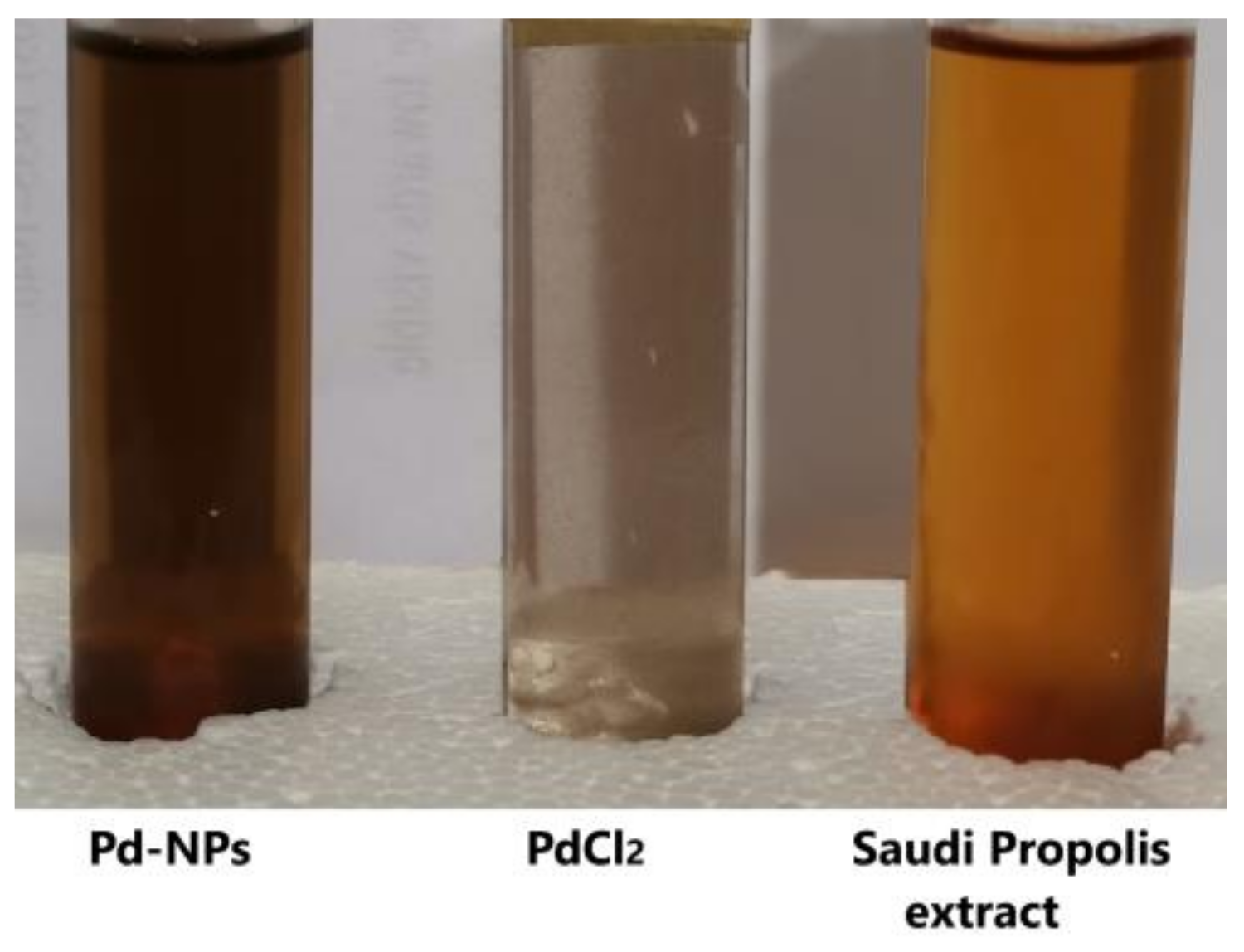 Nanomaterials 11 02666 g001 550