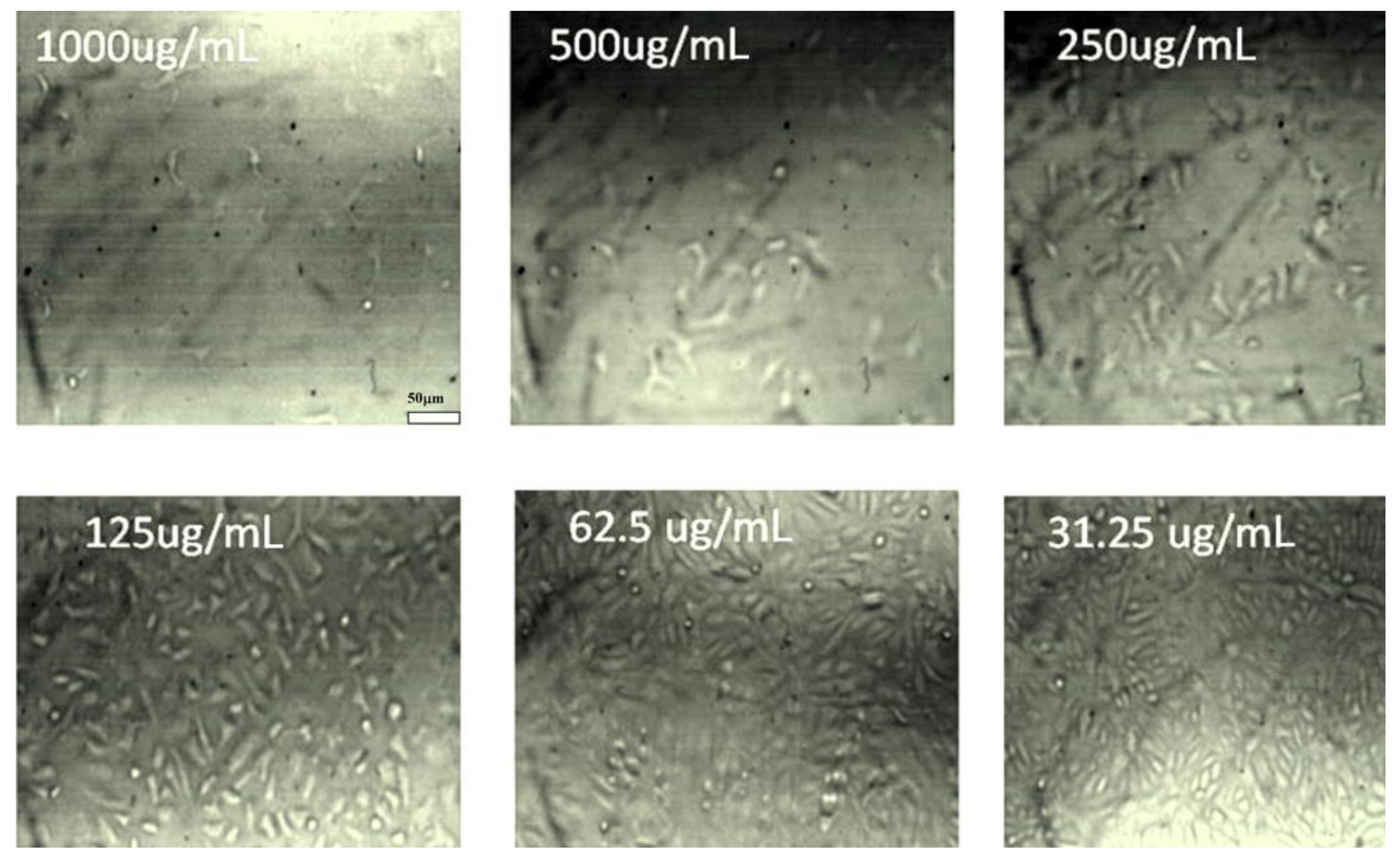 Nanomaterials 11 02666 g014 550
