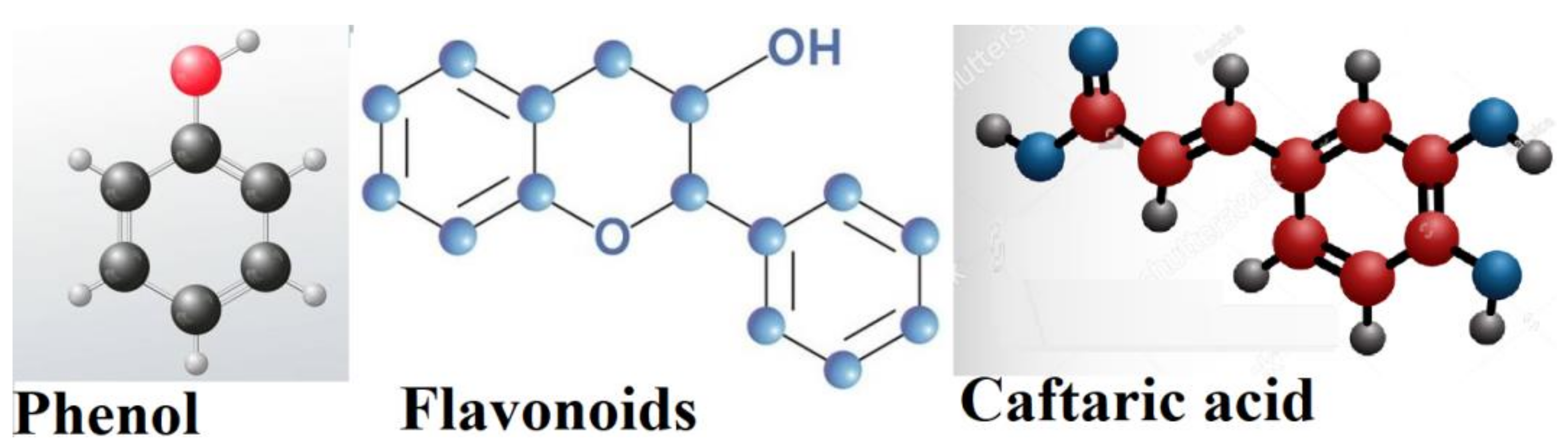 Nanomaterials 11 02666 sch002 550