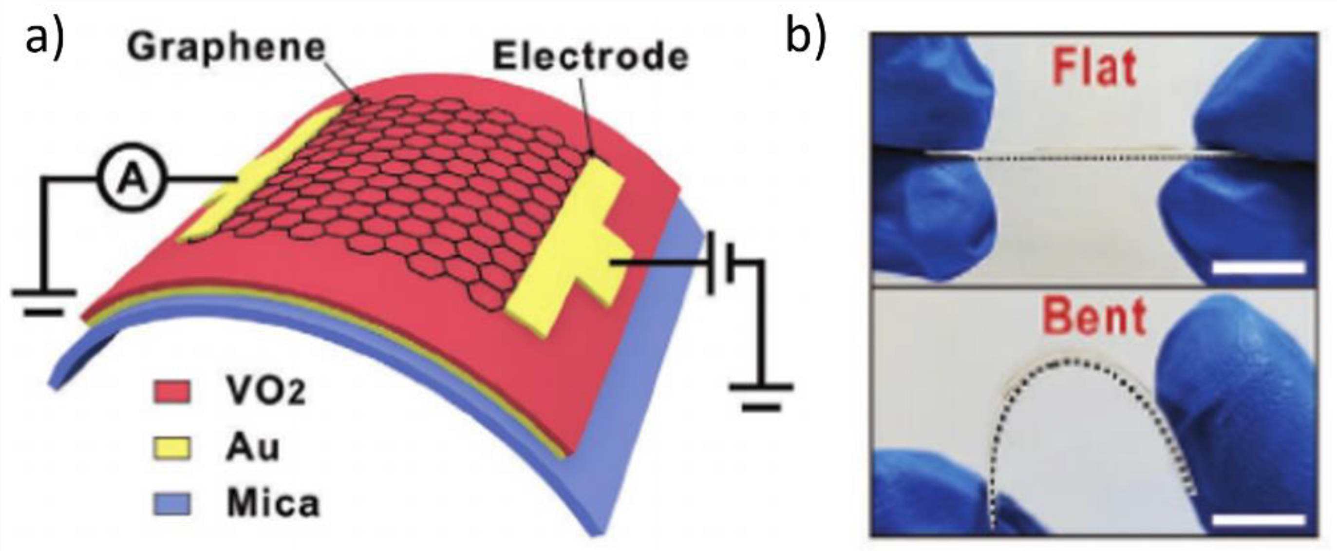 Nanomaterials 11 02674 g003