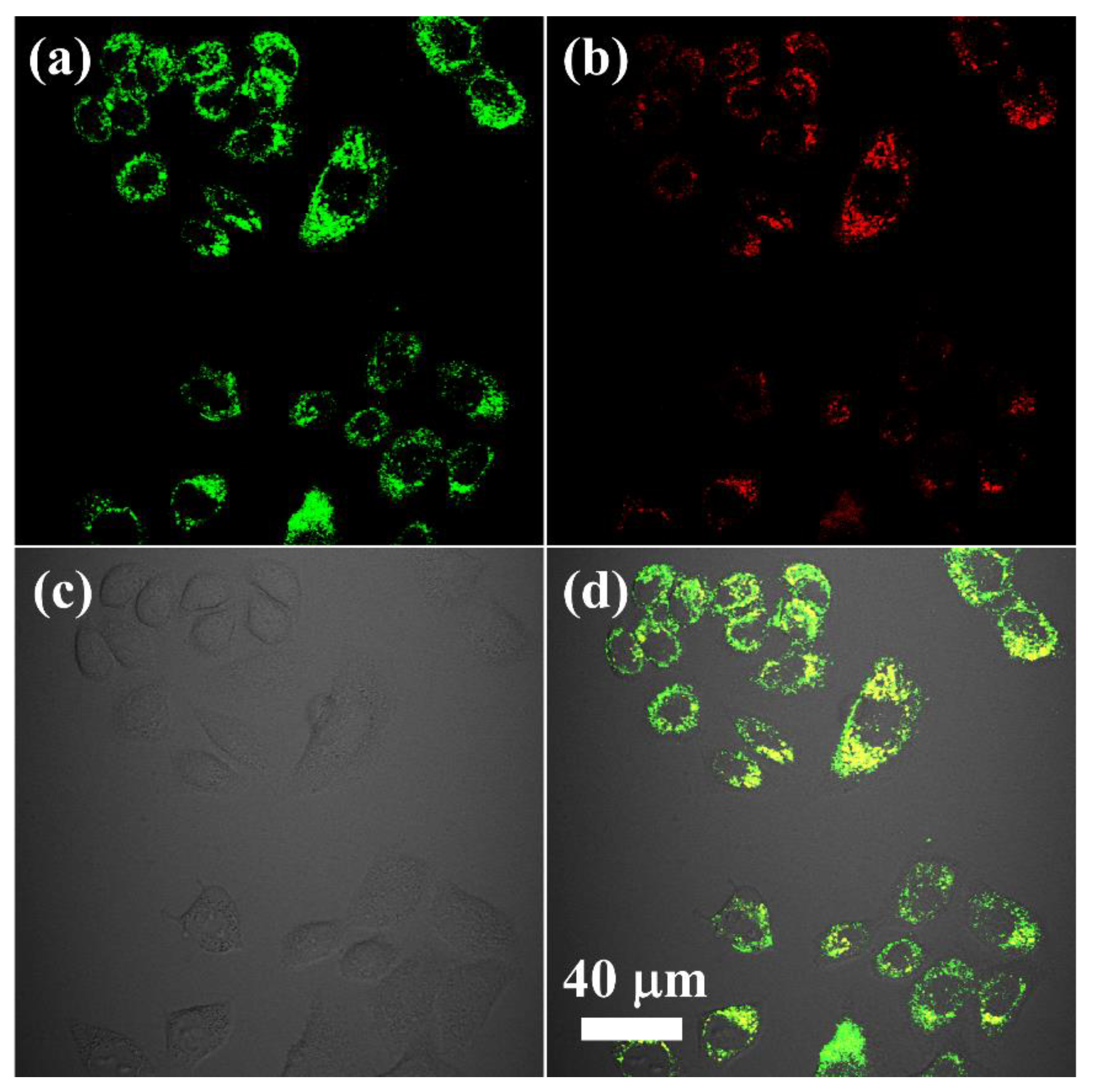 Nanomaterials 11 02676 g004