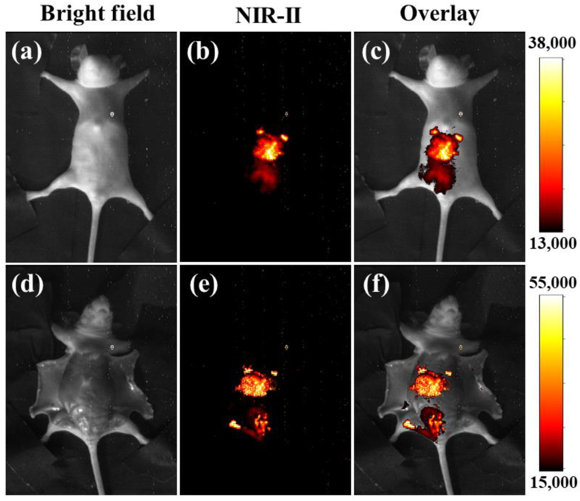 Nanomaterials 11 02676 g006