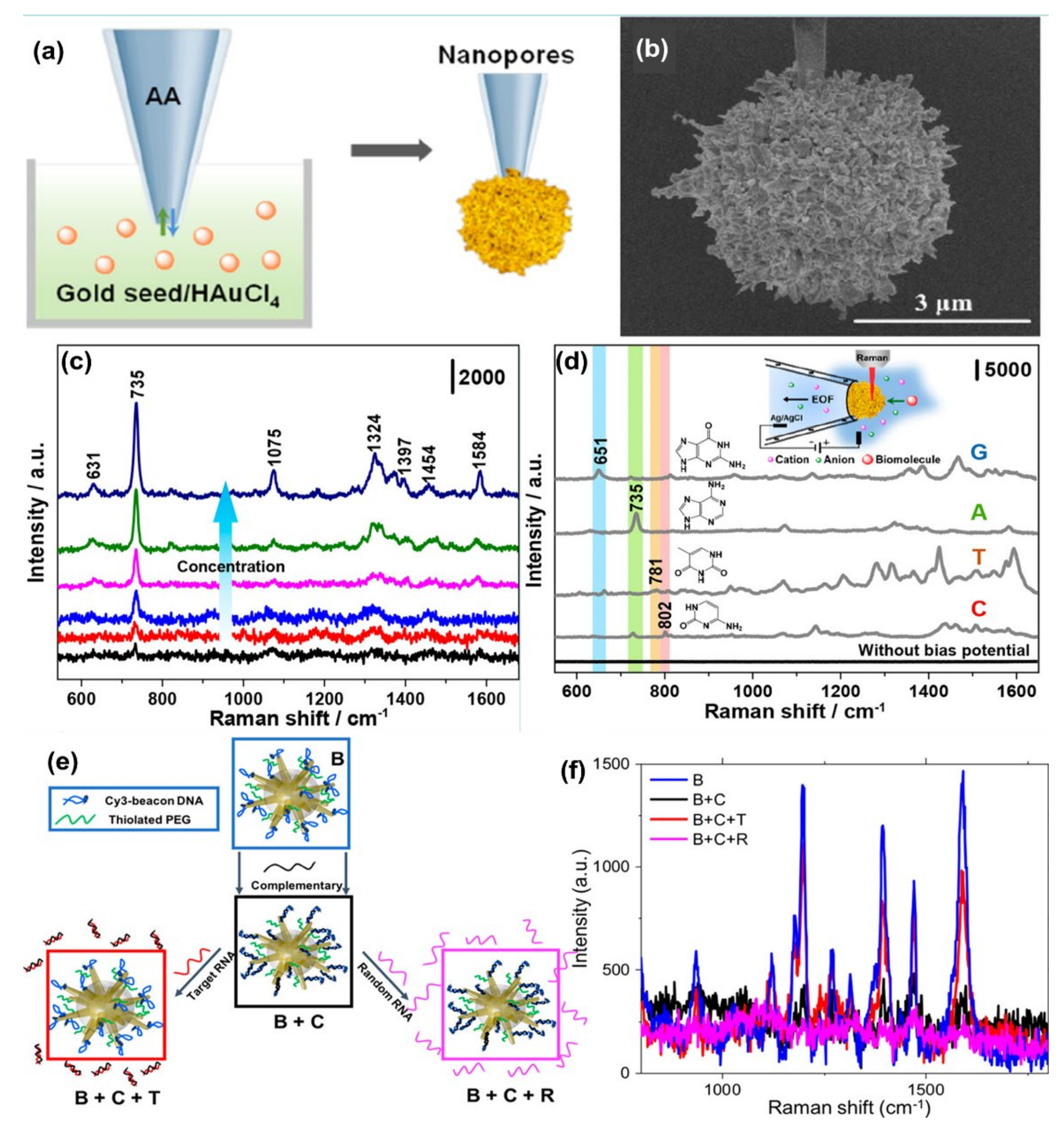 Nanomaterials 11 02679 g005 550