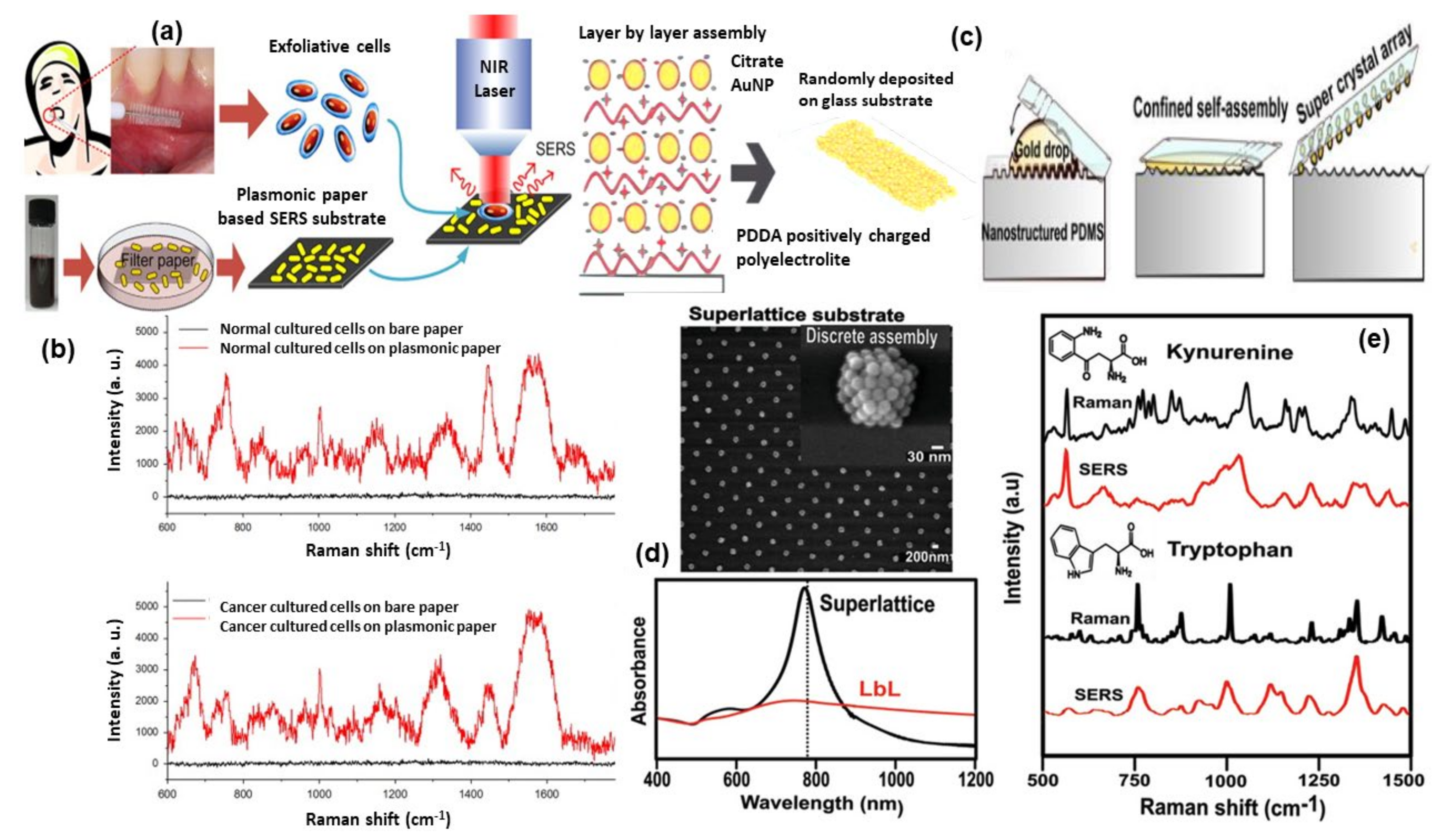 Nanomaterials 11 02679 g007 550