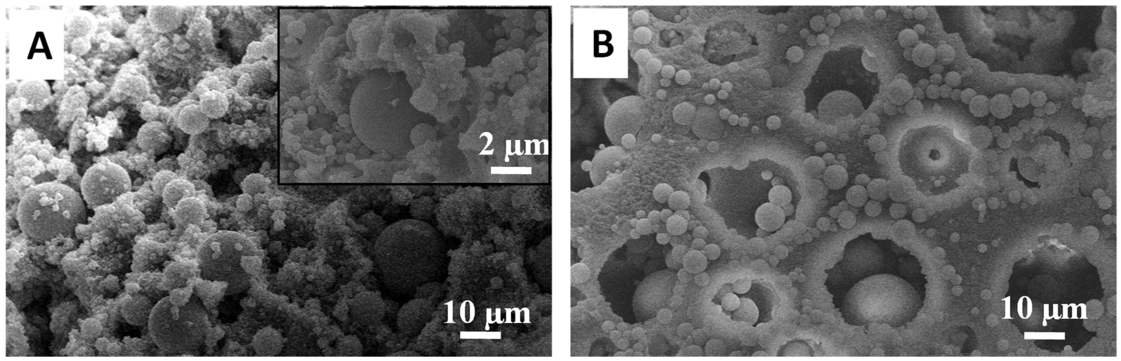 Nanomaterials 11 02681 g004 550