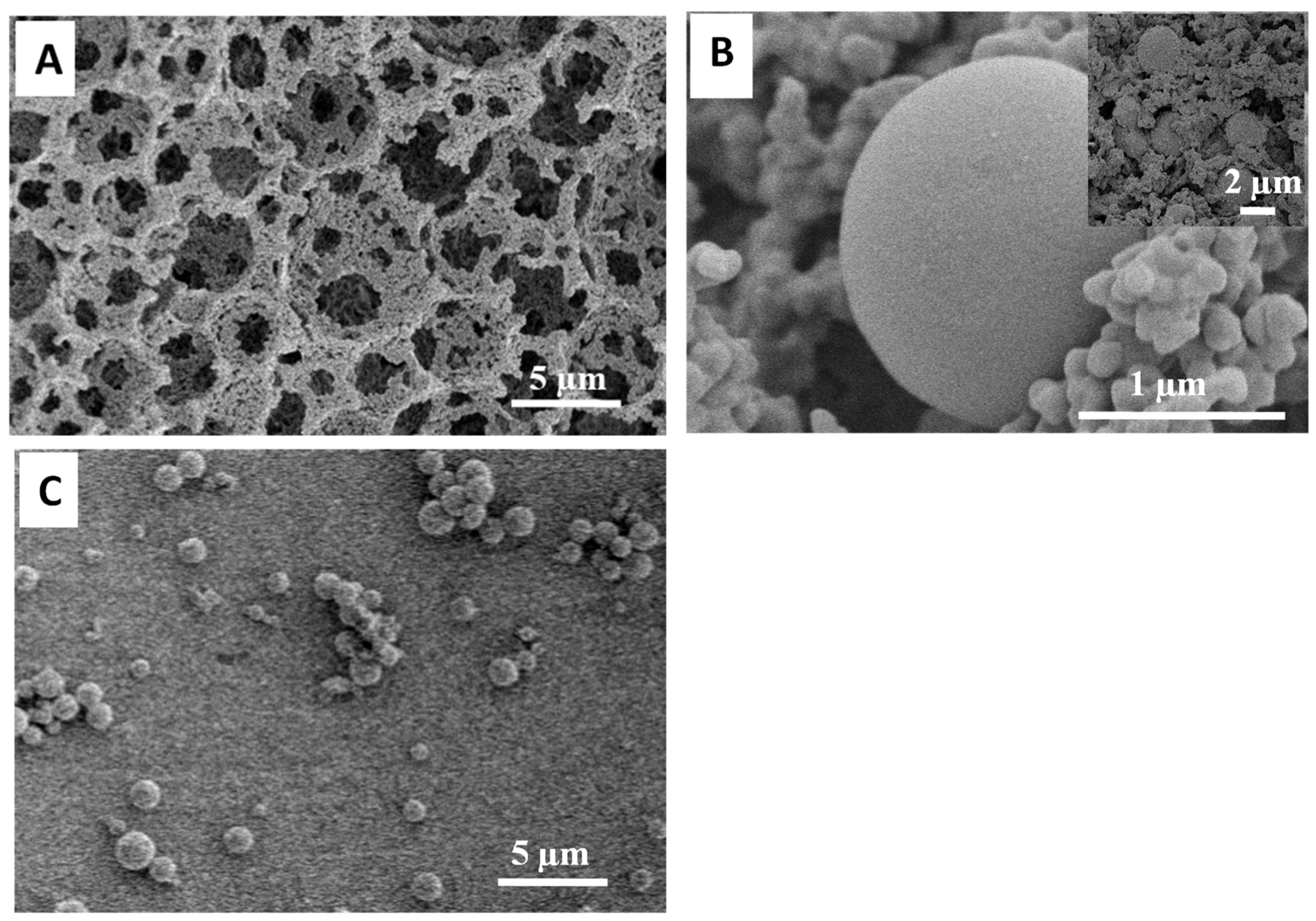 Nanomaterials 11 02681 g006 550