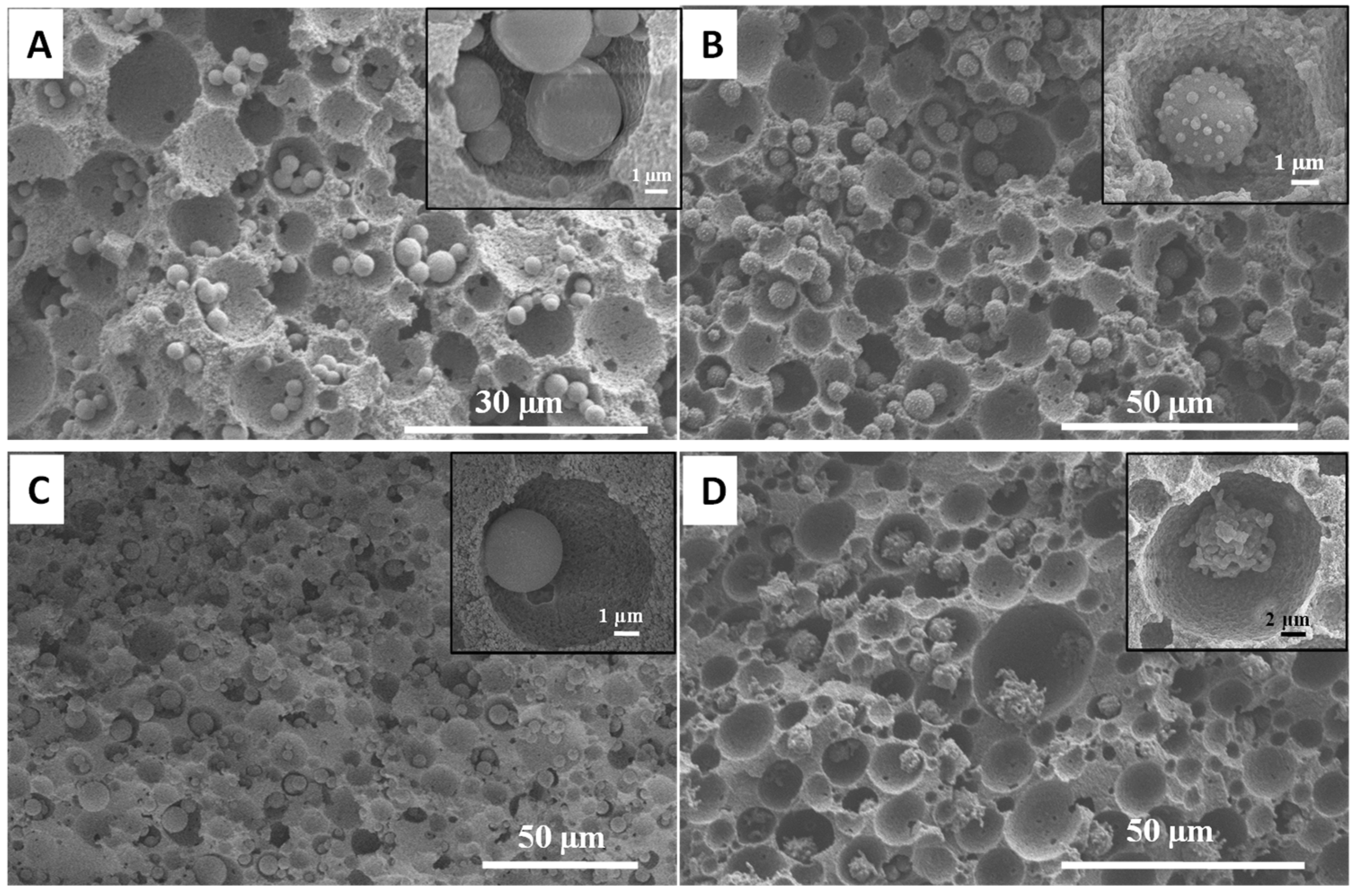 Nanomaterials 11 02681 g008 550