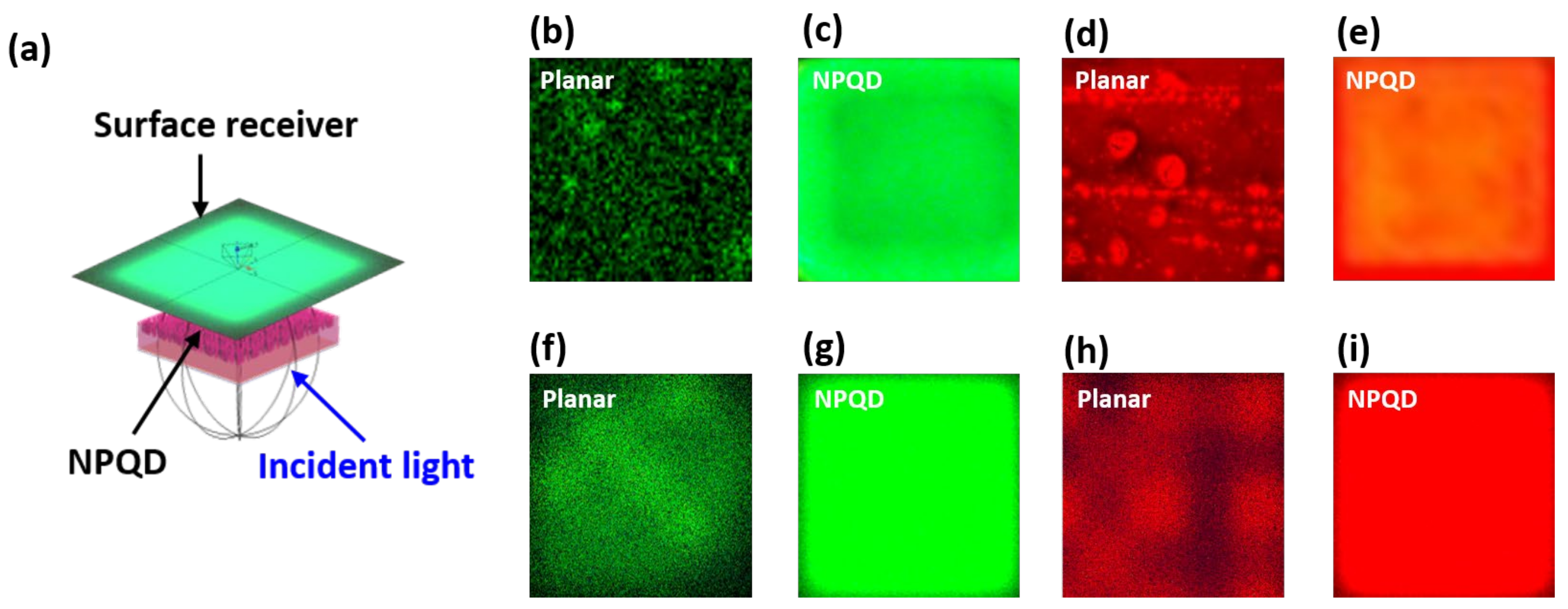 Nanomaterials 11 02696 g006