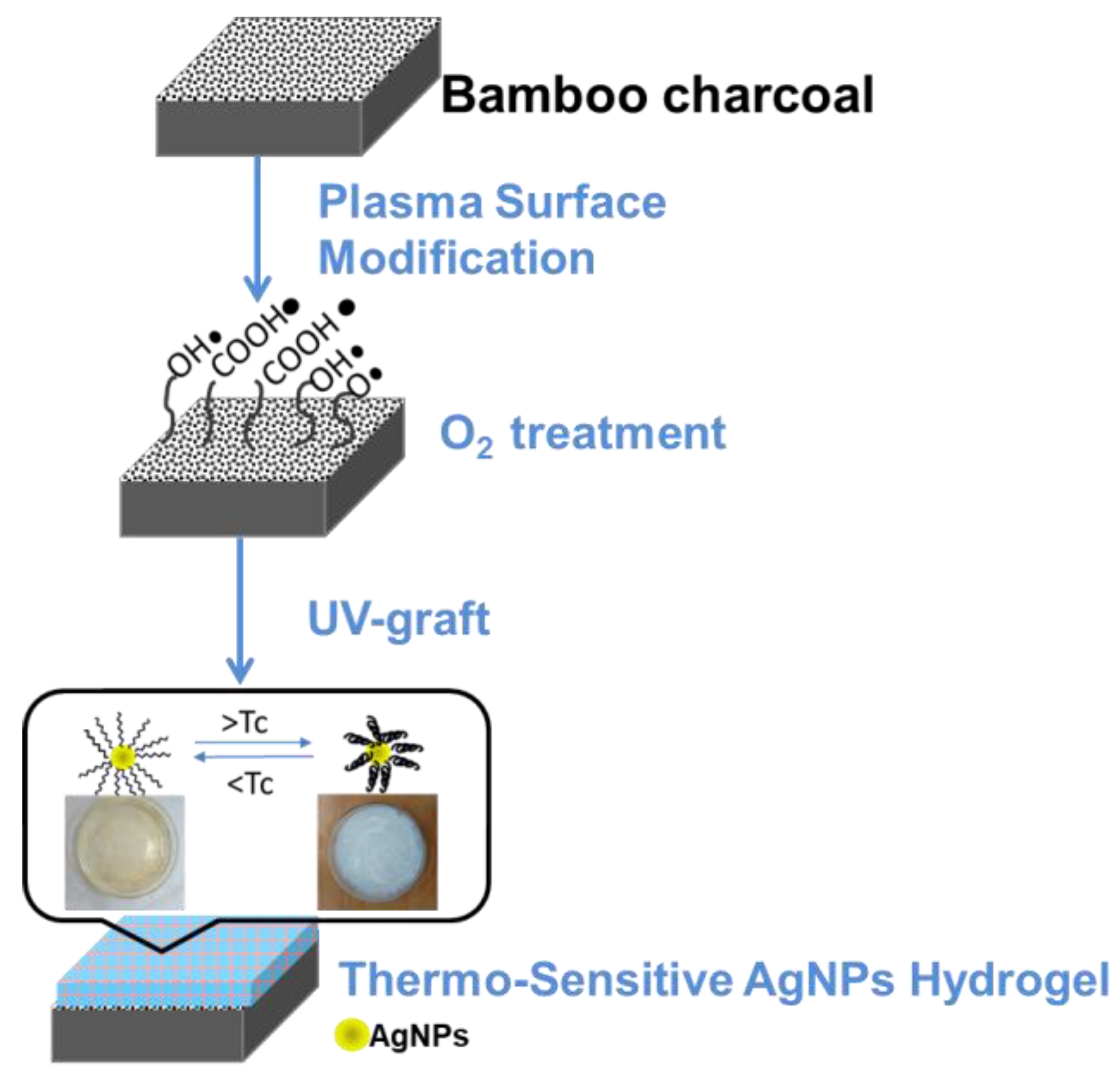 Nanomaterials 11 02697 g001 Nanomaterials 11 02697 g001