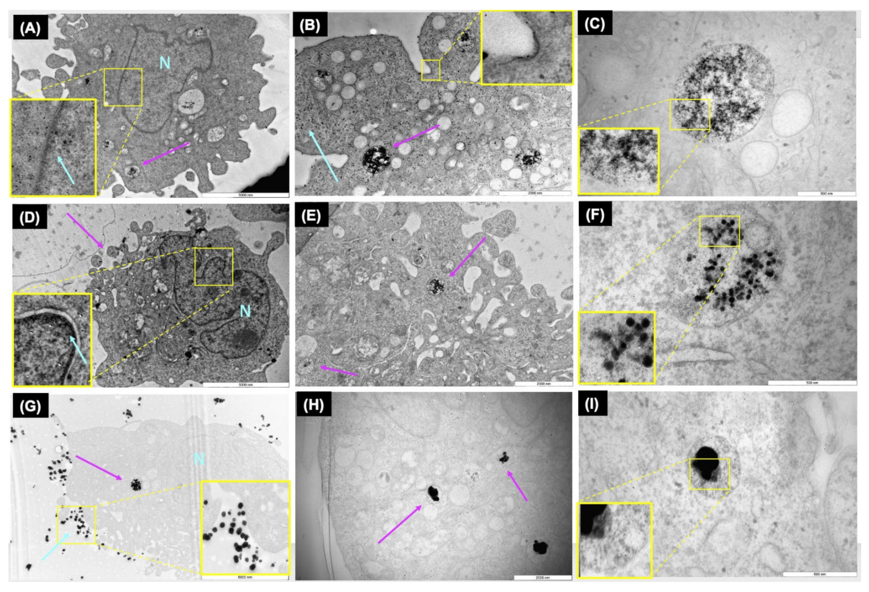 Nanomaterials 11 02699 g002 550