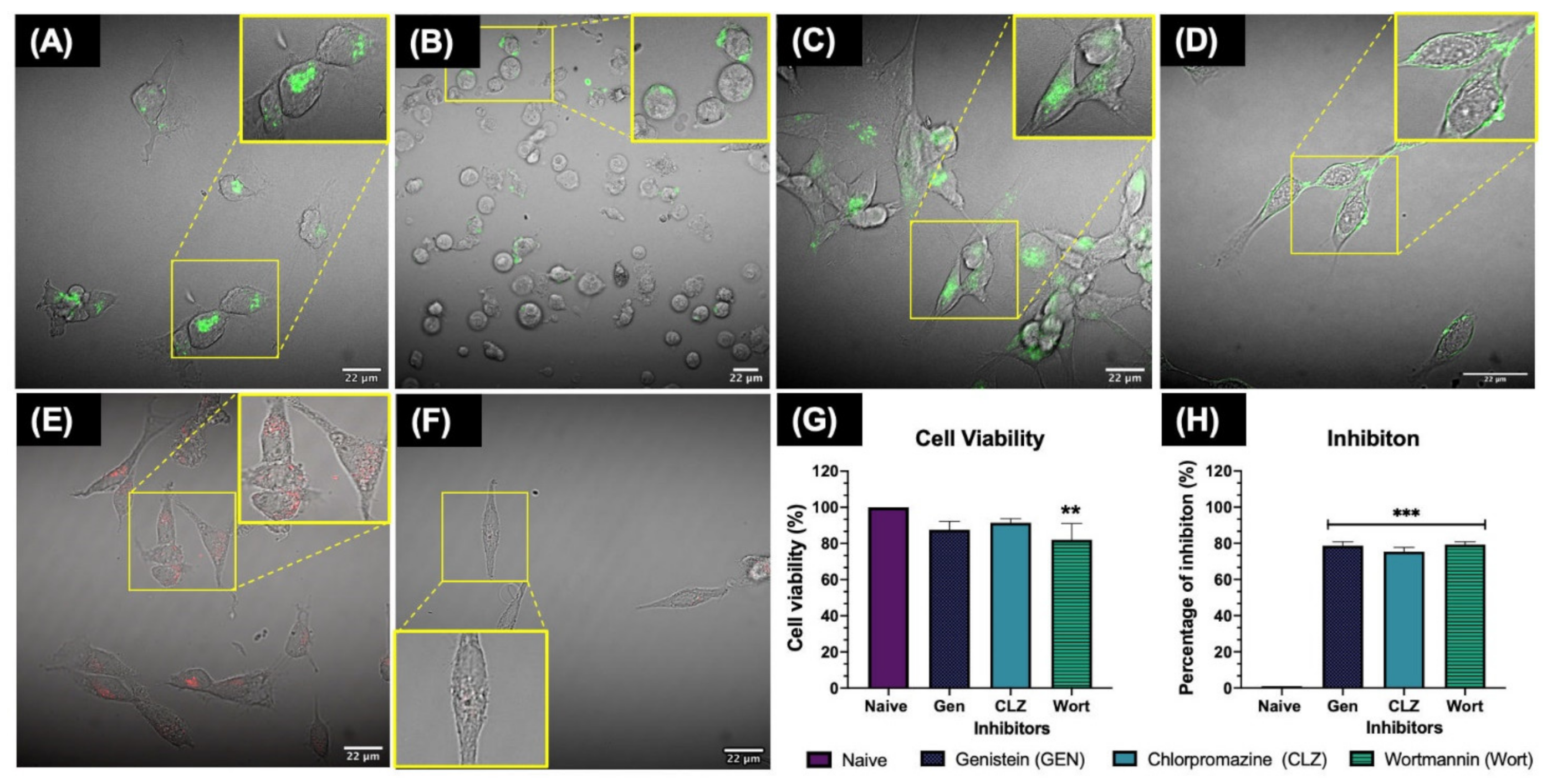 Nanomaterials 11 02699 g004 550