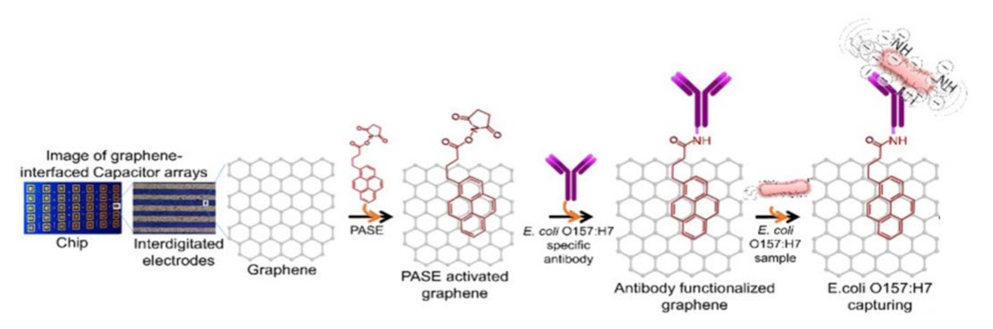 Nanomaterials 11 02700 g006 550