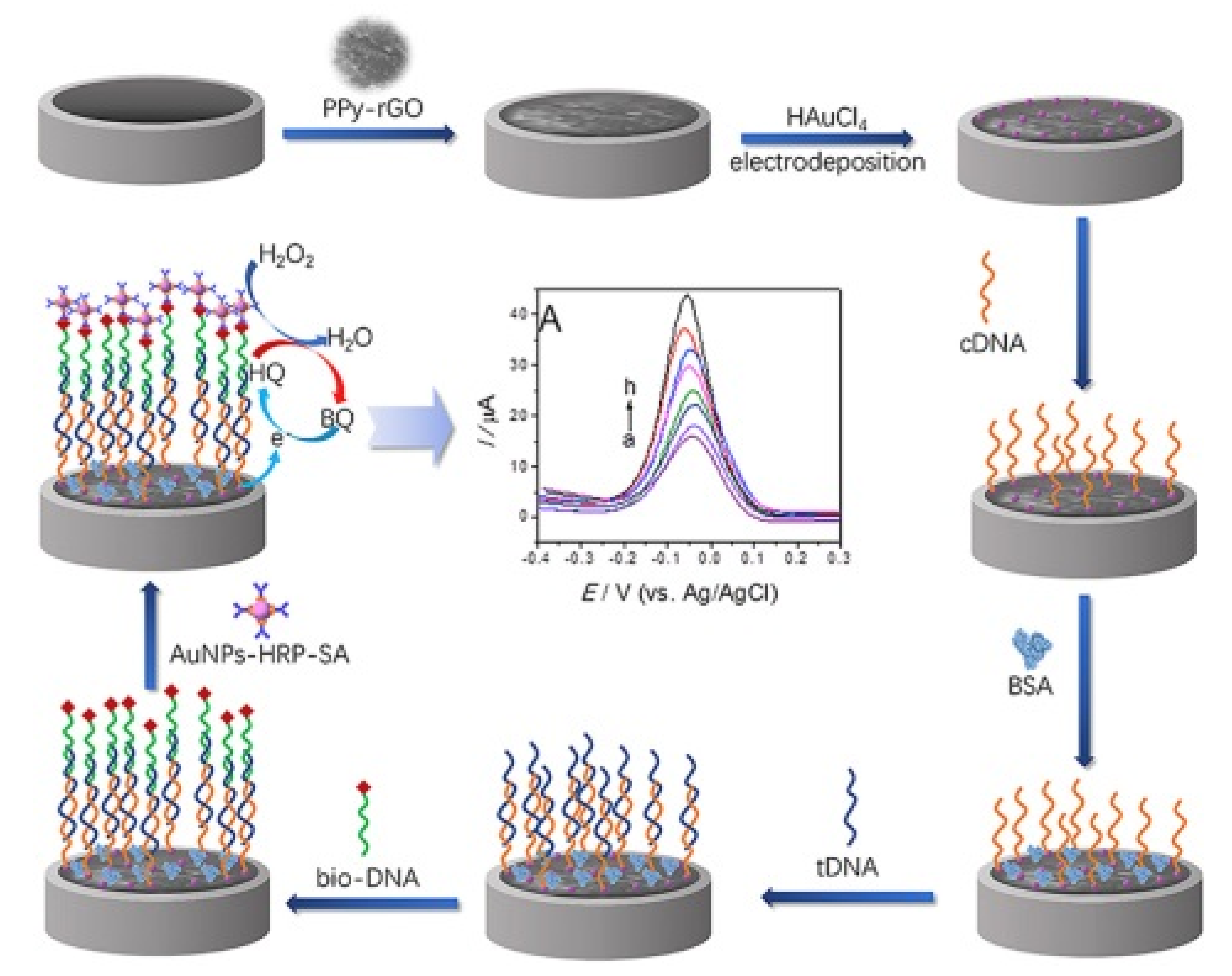 Nanomaterials 11 02700 g007 550