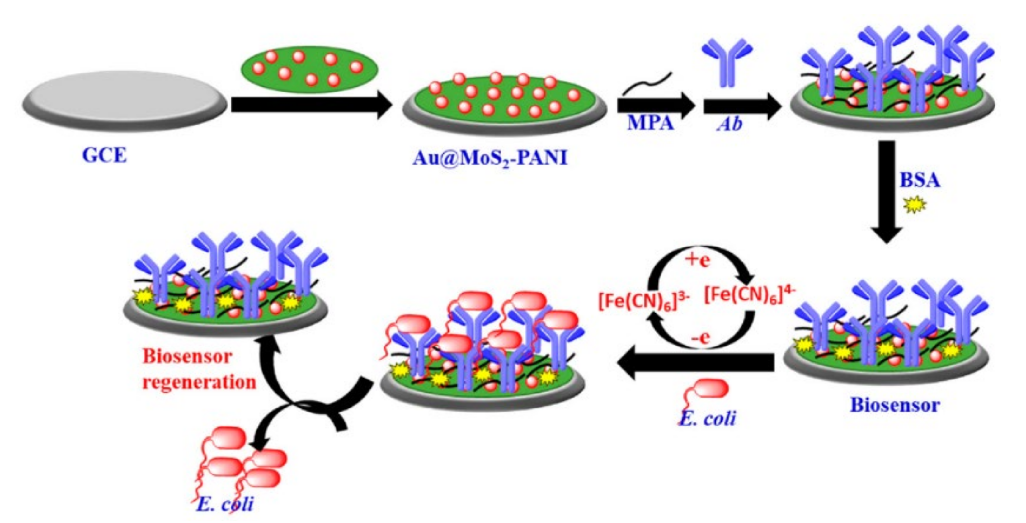 Nanomaterials 11 02700 g009 550