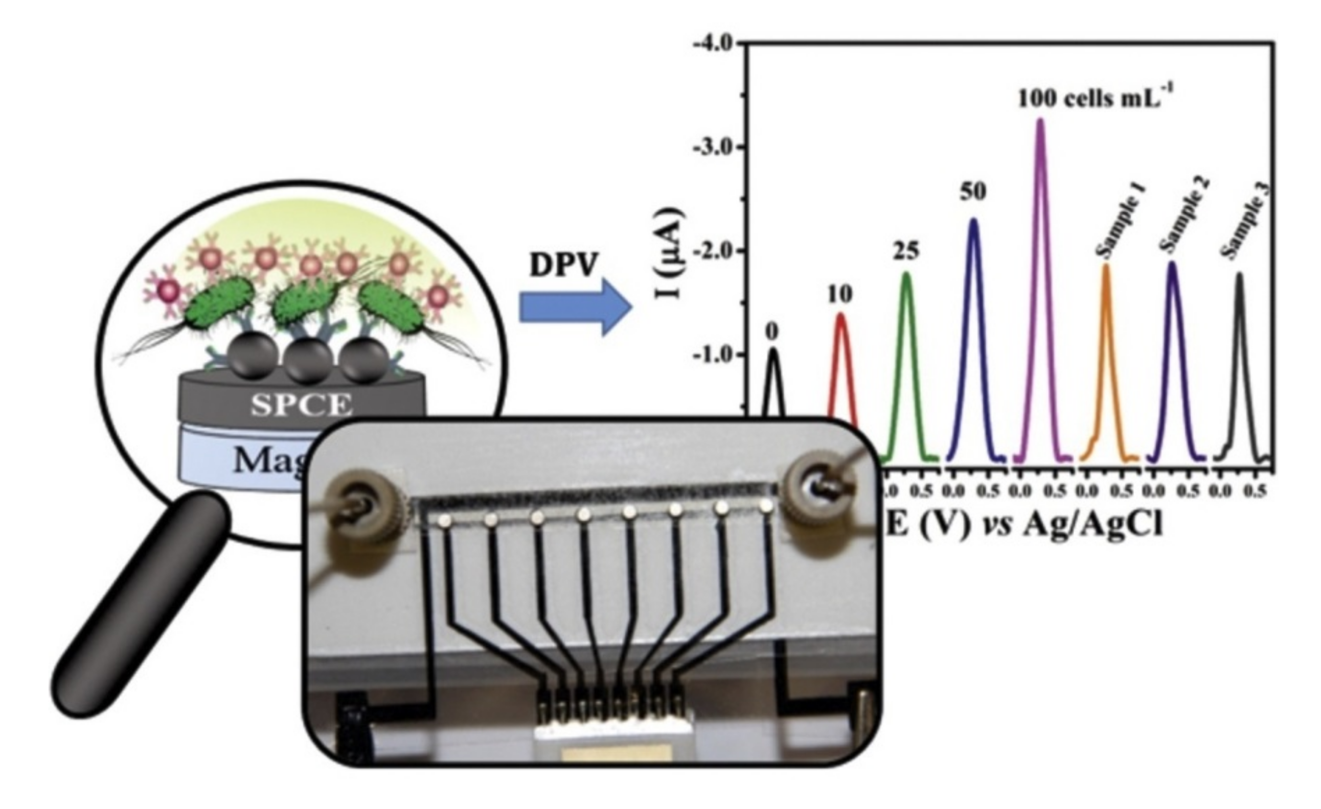 Nanomaterials 11 02700 g010 550