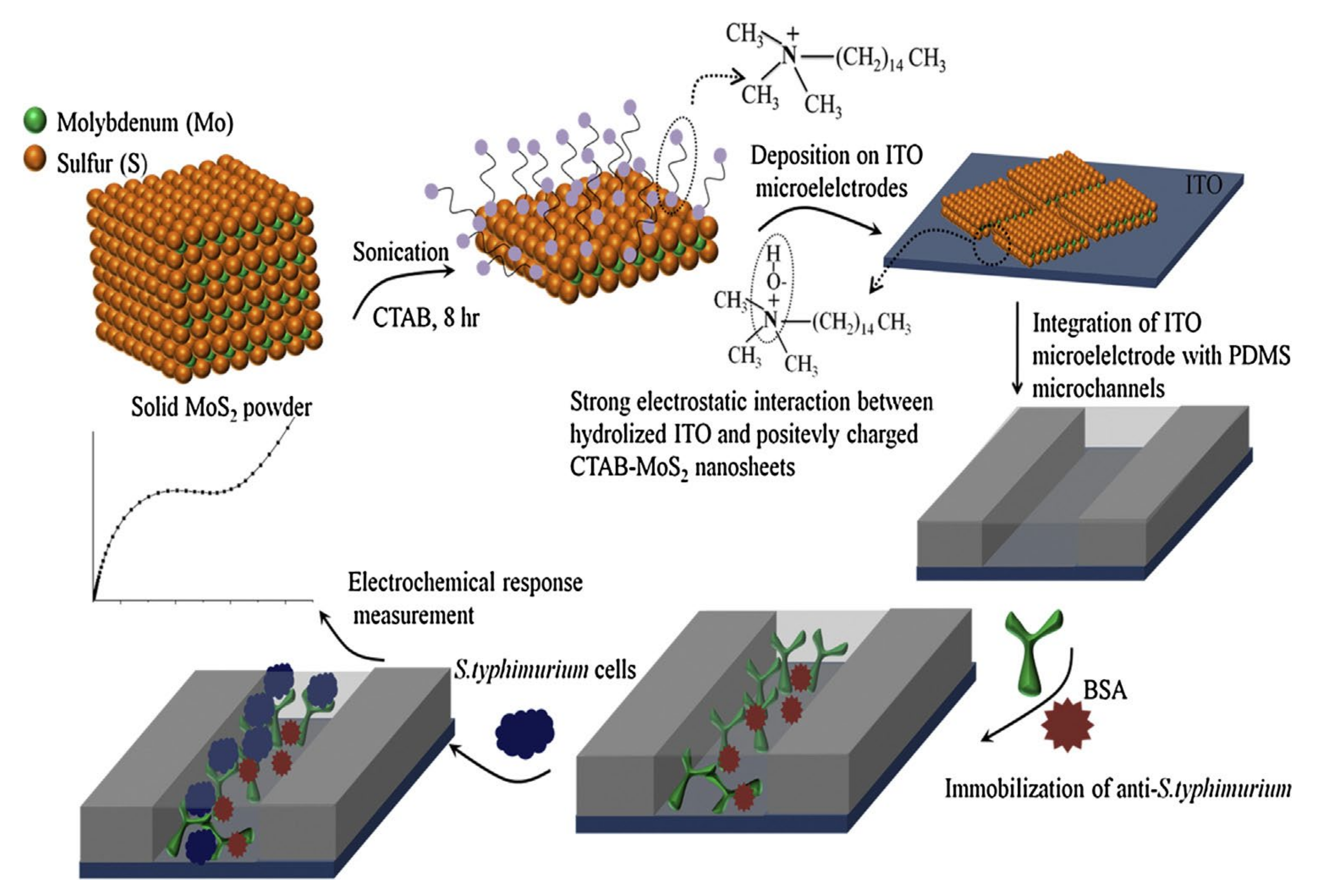 Nanomaterials 11 02700 g011 550