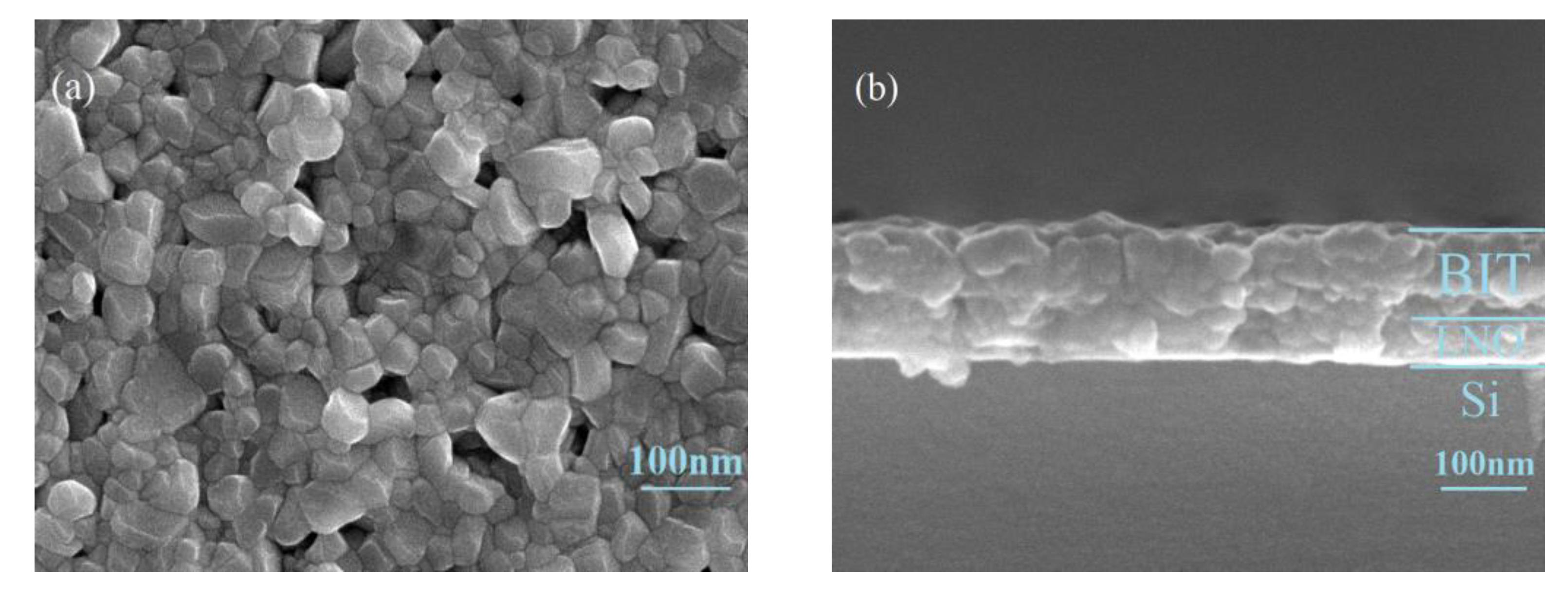 Nanomaterials 11 02705 g002 Nanomaterials 11 02705 g002