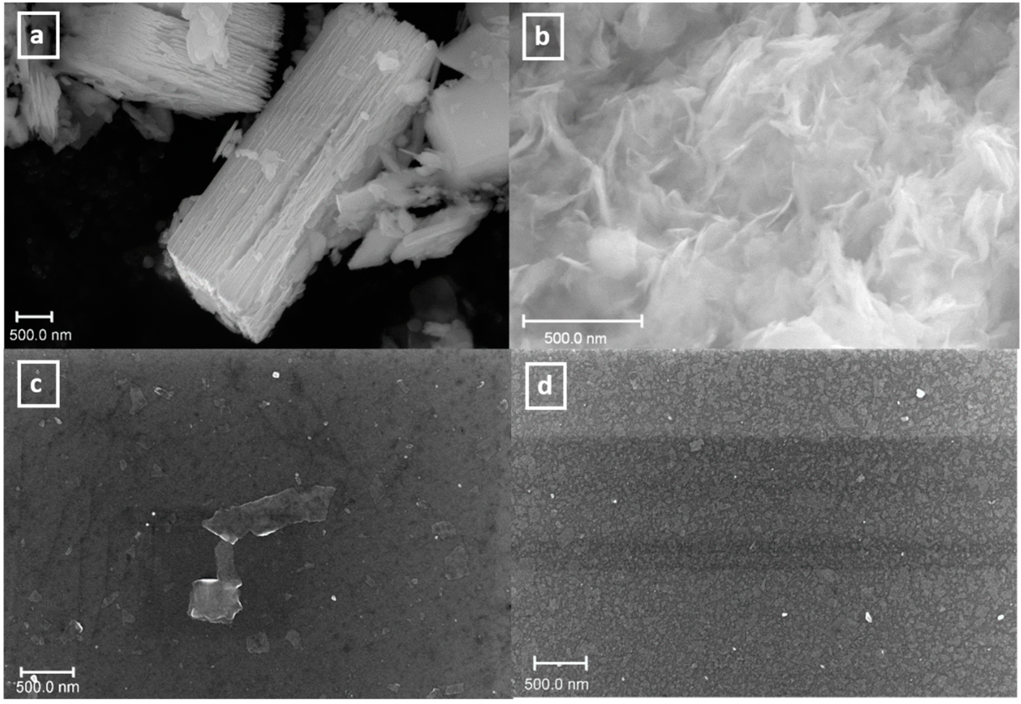 Nanomaterials 11 02708 g004
