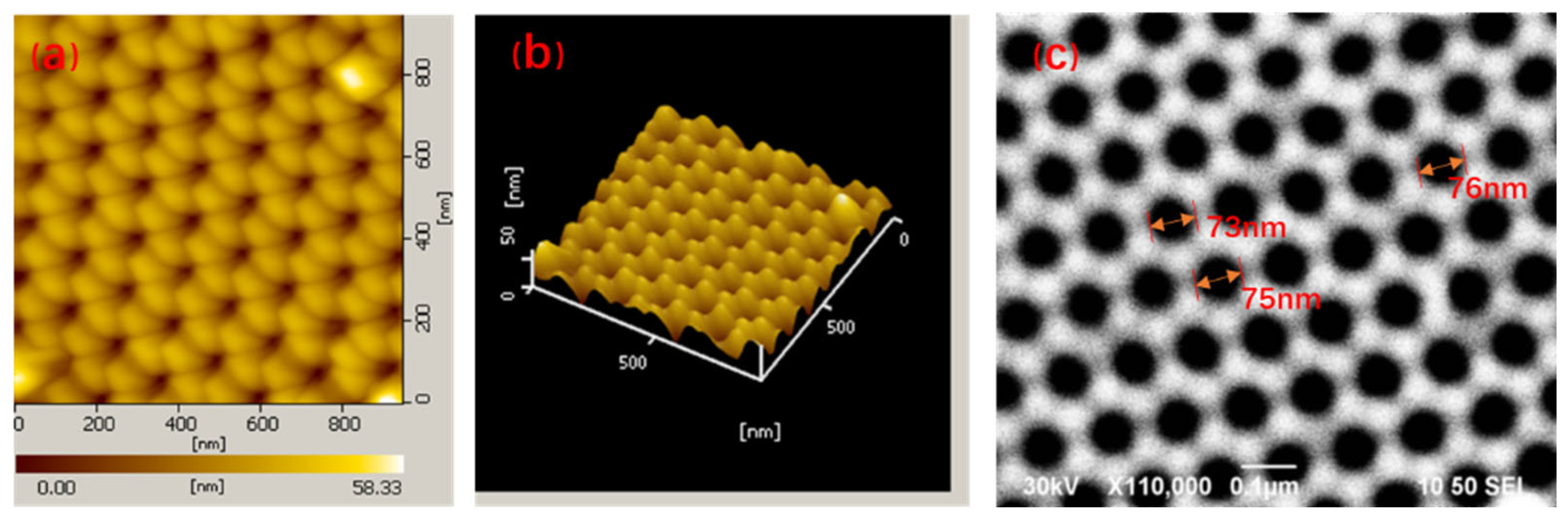 Nanomaterials 11 02710 g002 550