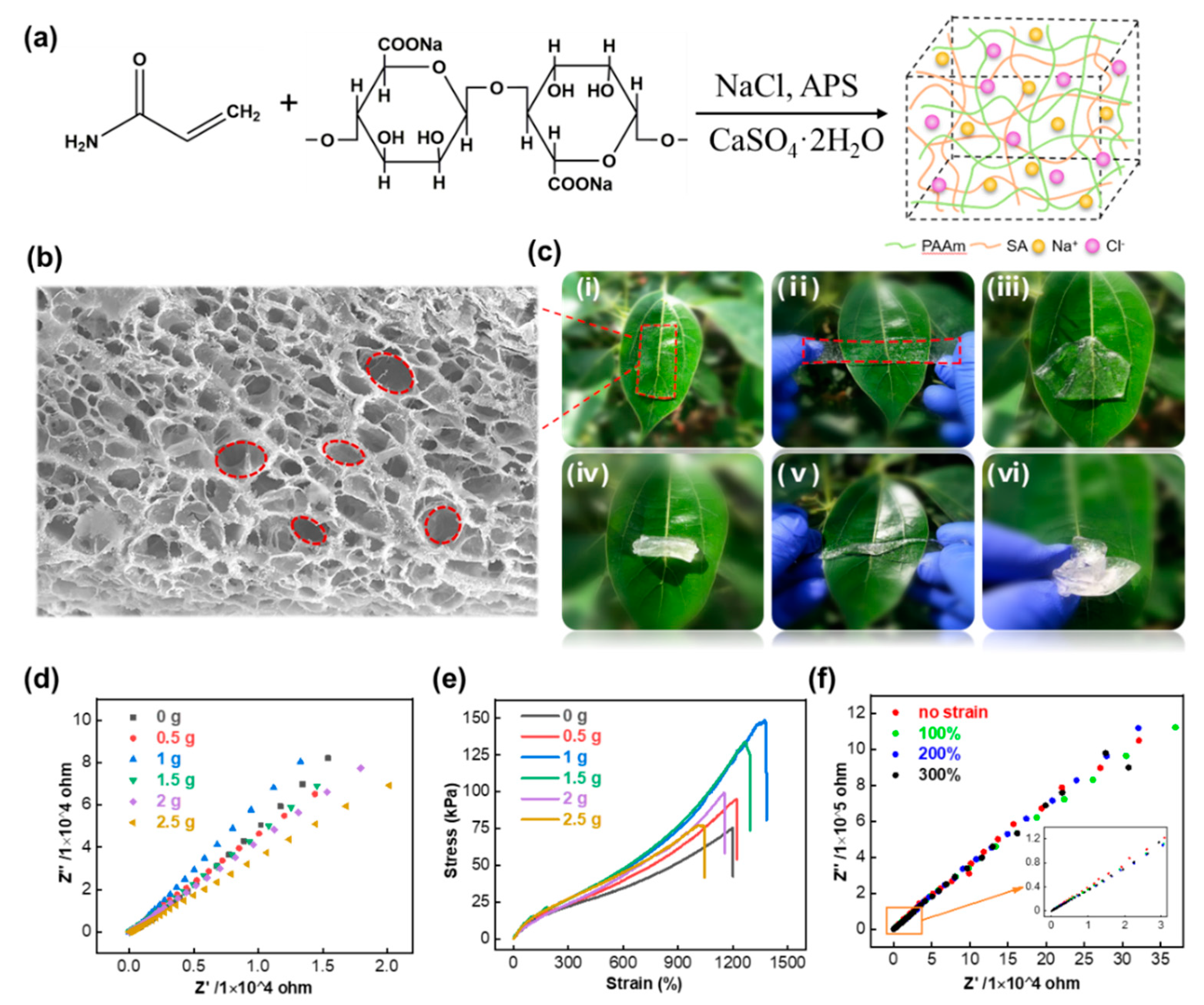 Nanomaterials 11 02711 g001 550