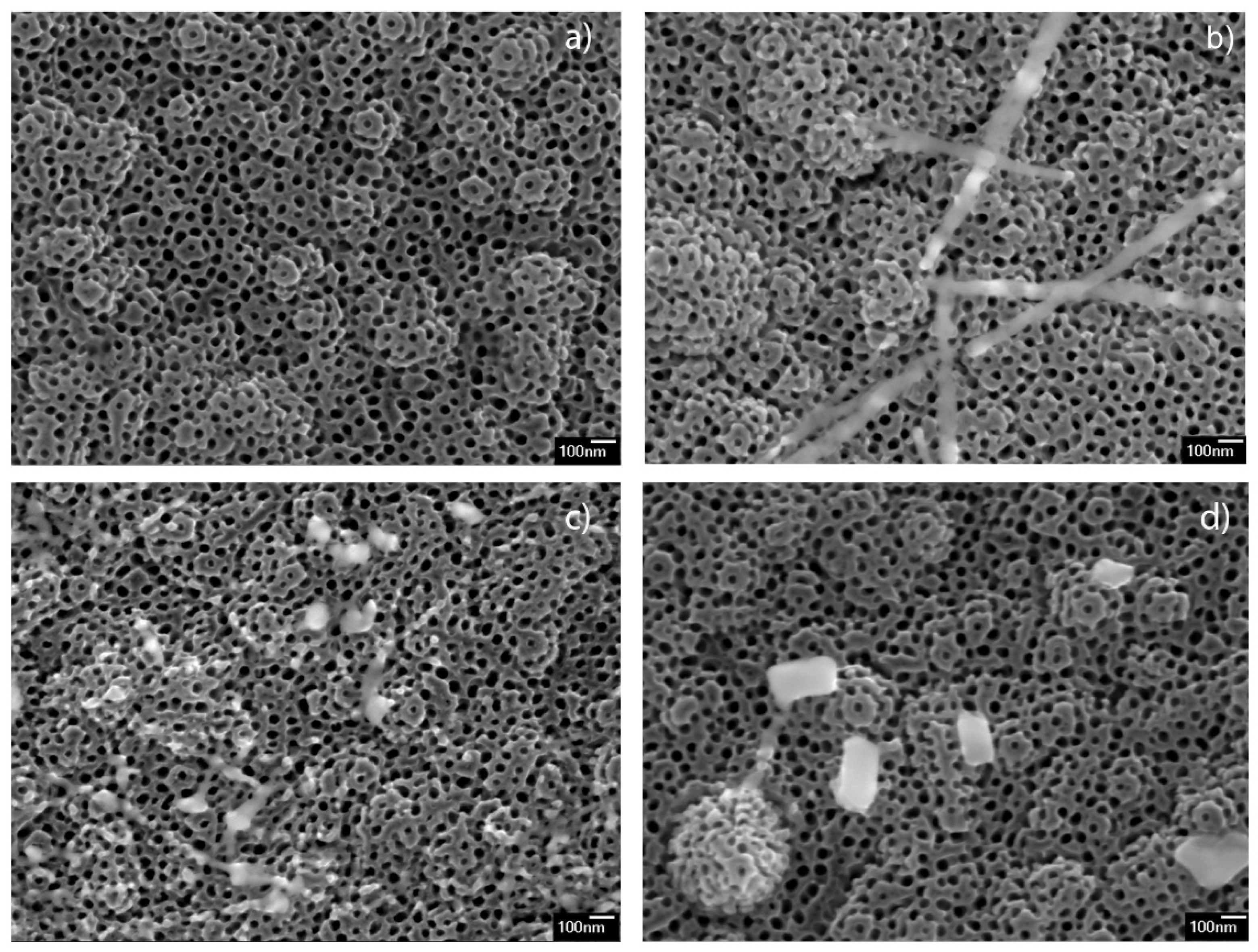Nanomaterials 11 02714 g001 550