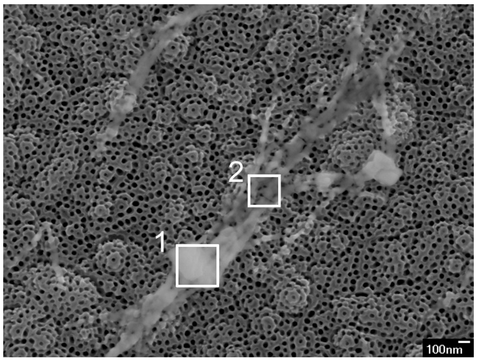 Nanomaterials 11 02714 g002 550