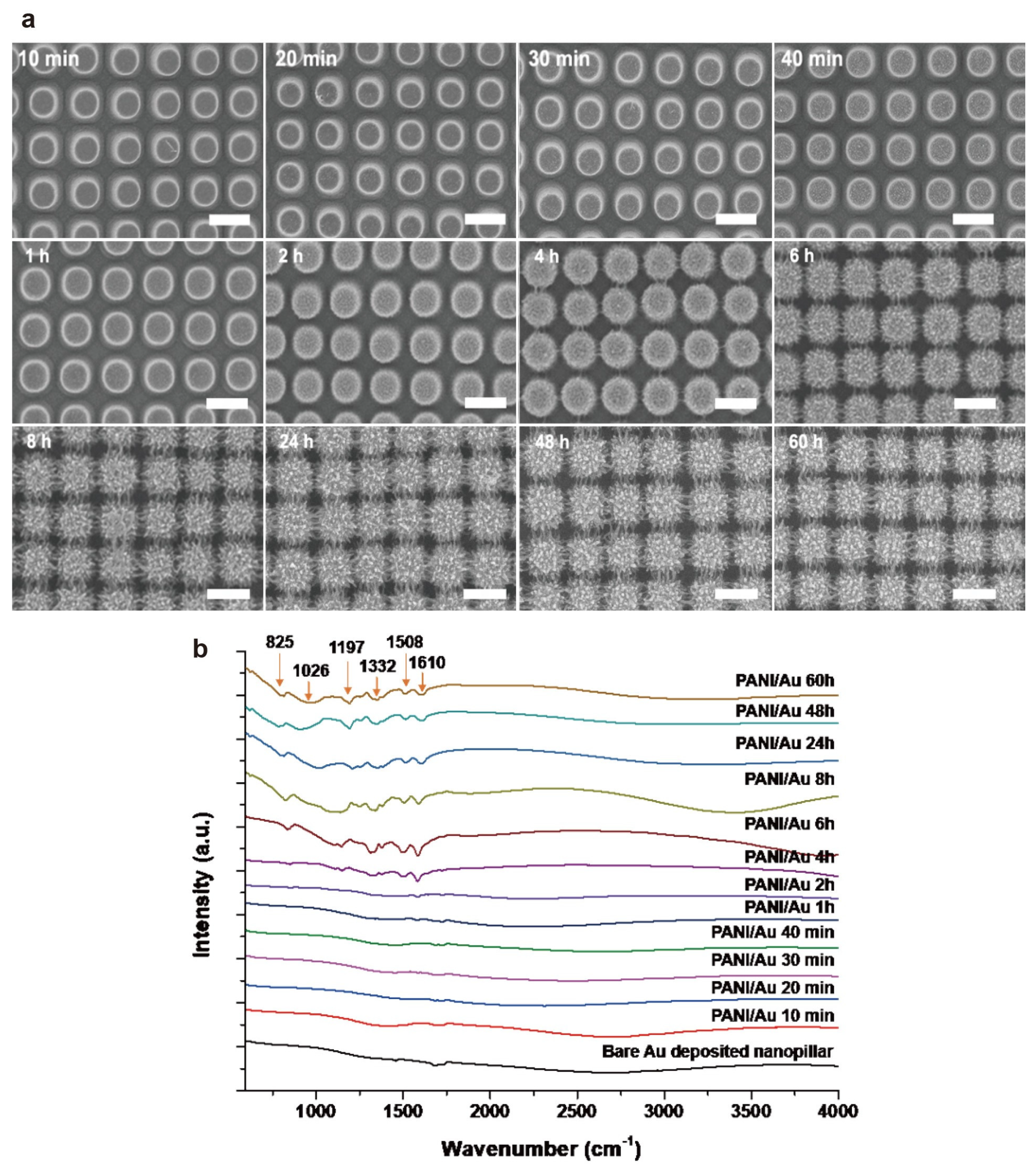 Nanomaterials 11 02716 g002 550
