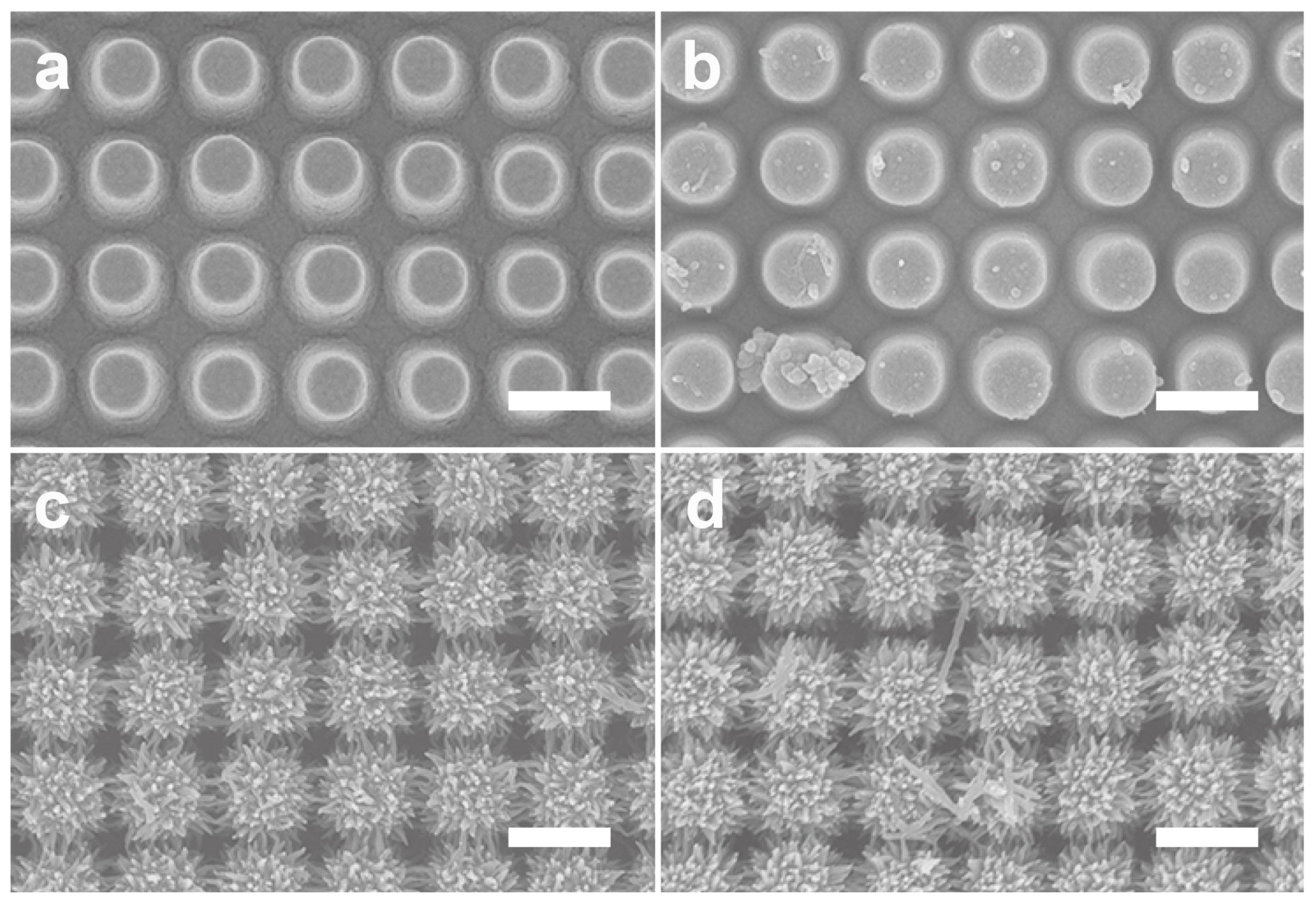 Nanomaterials 11 02716 g005 550