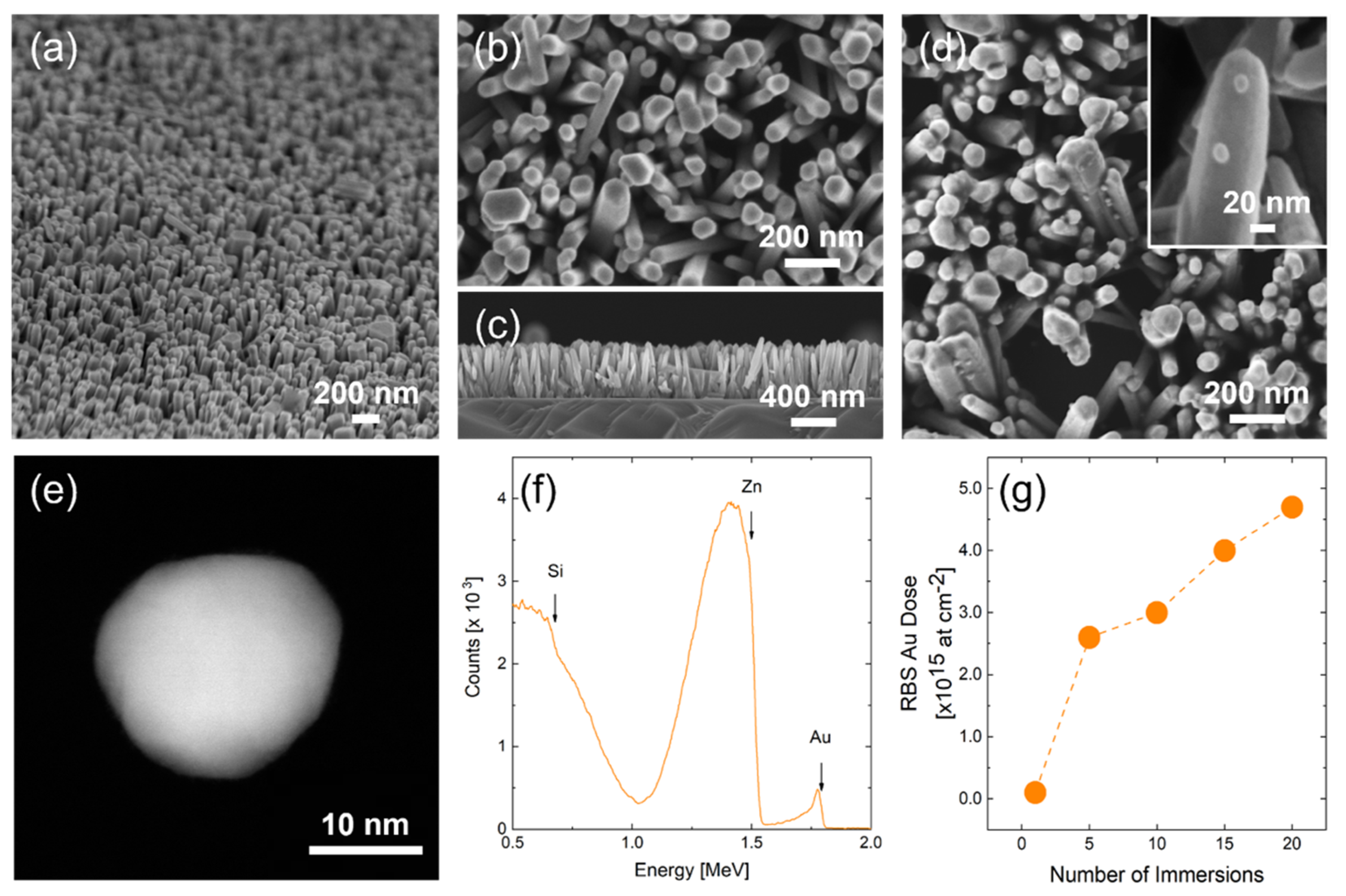 Nanomaterials 11 02718 g001