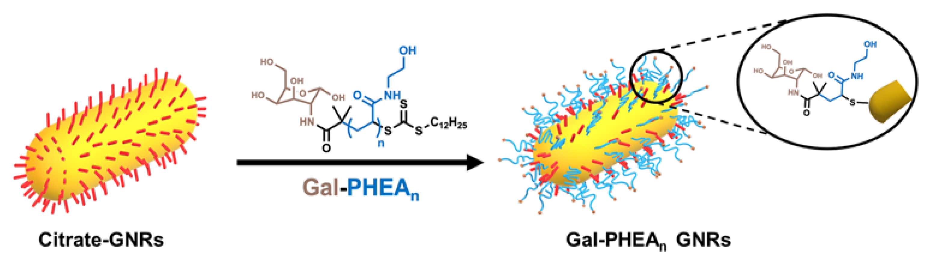 Nanomaterials 11 02720 g002