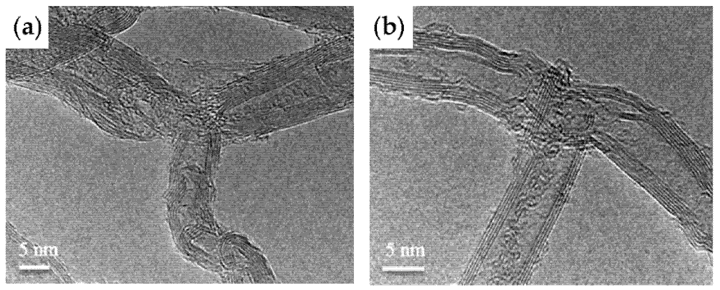 Nanomaterials 11 02728 g002