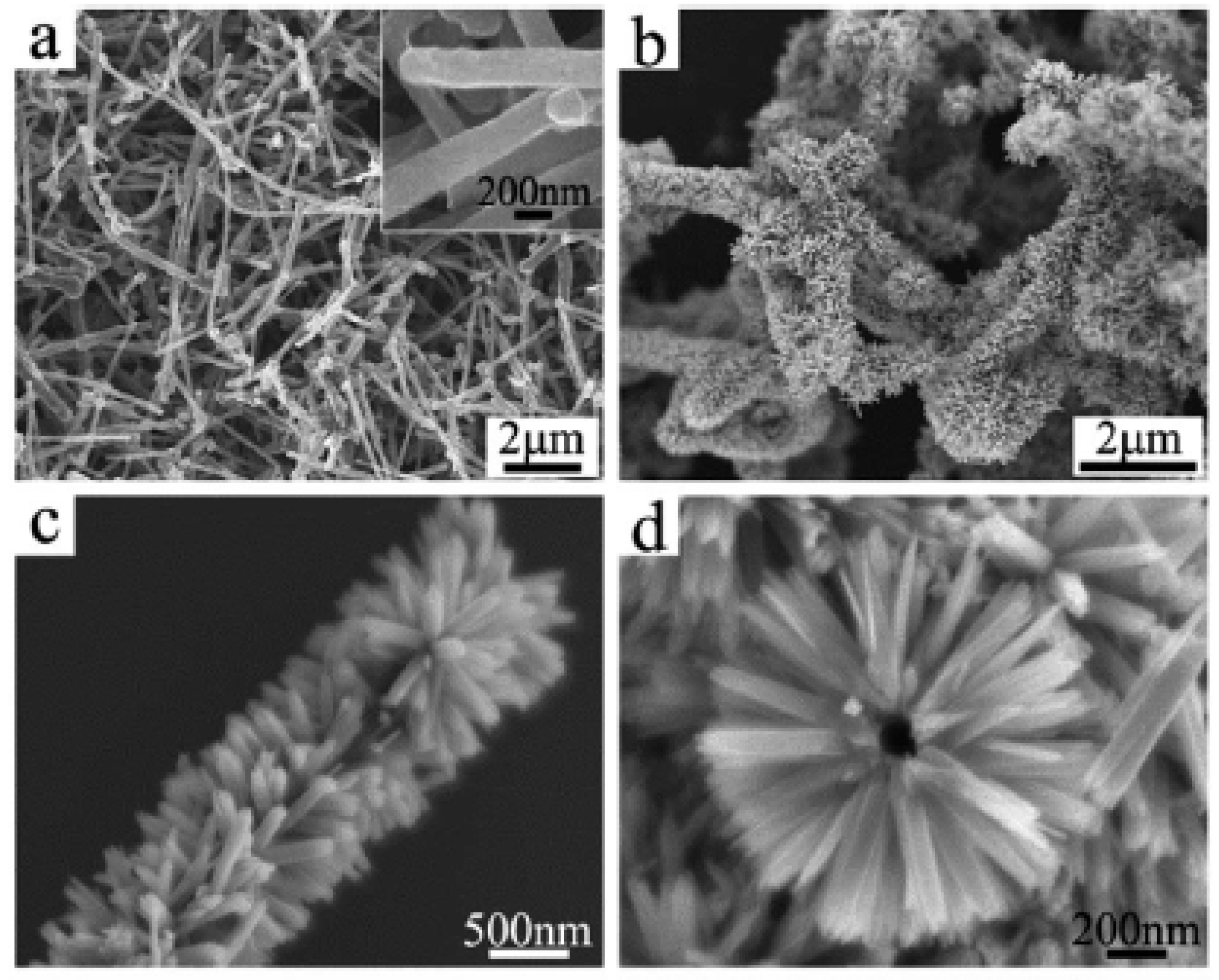 Nanomaterials 11 02728 g004