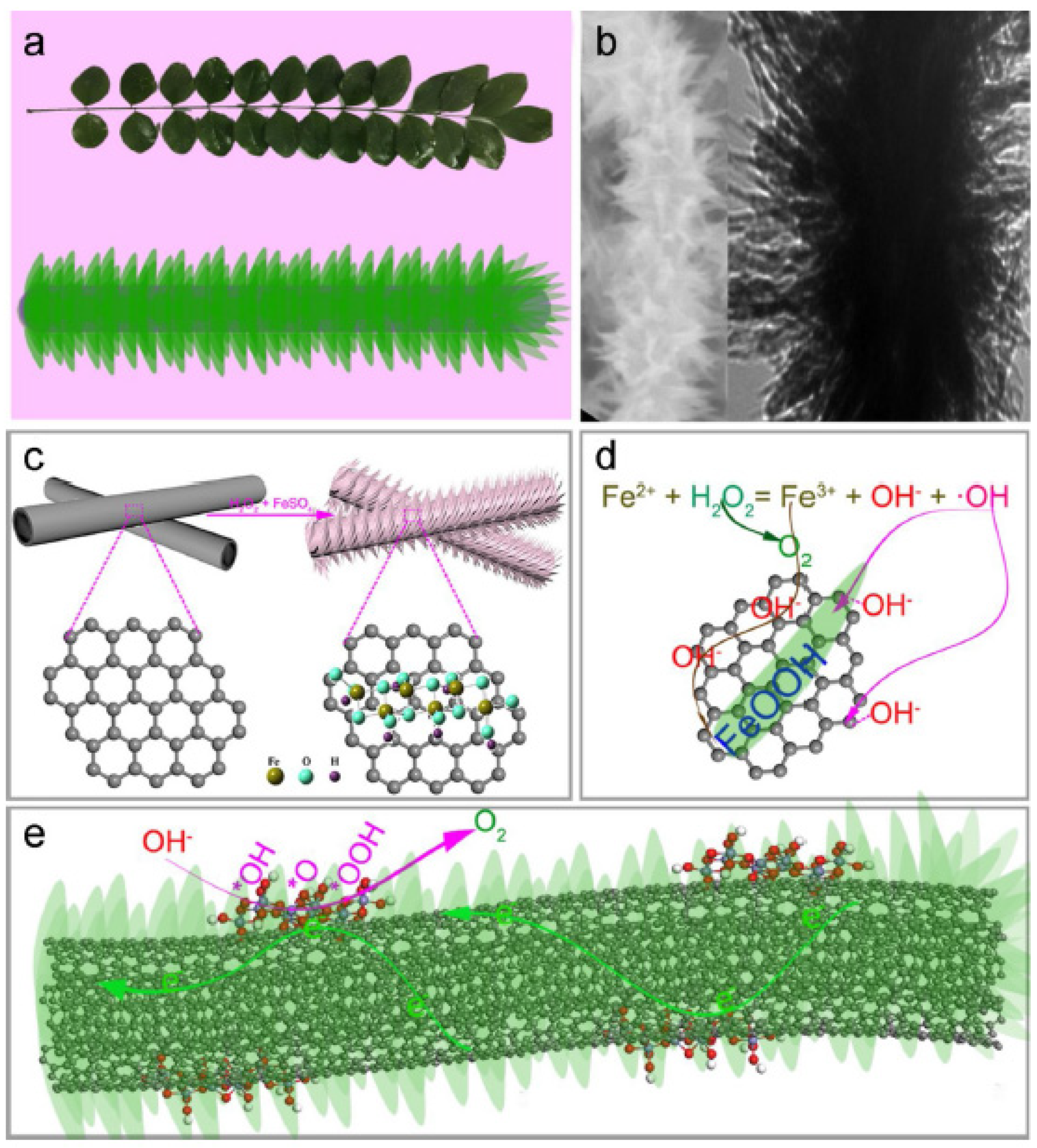 Nanomaterials 11 02728 g005