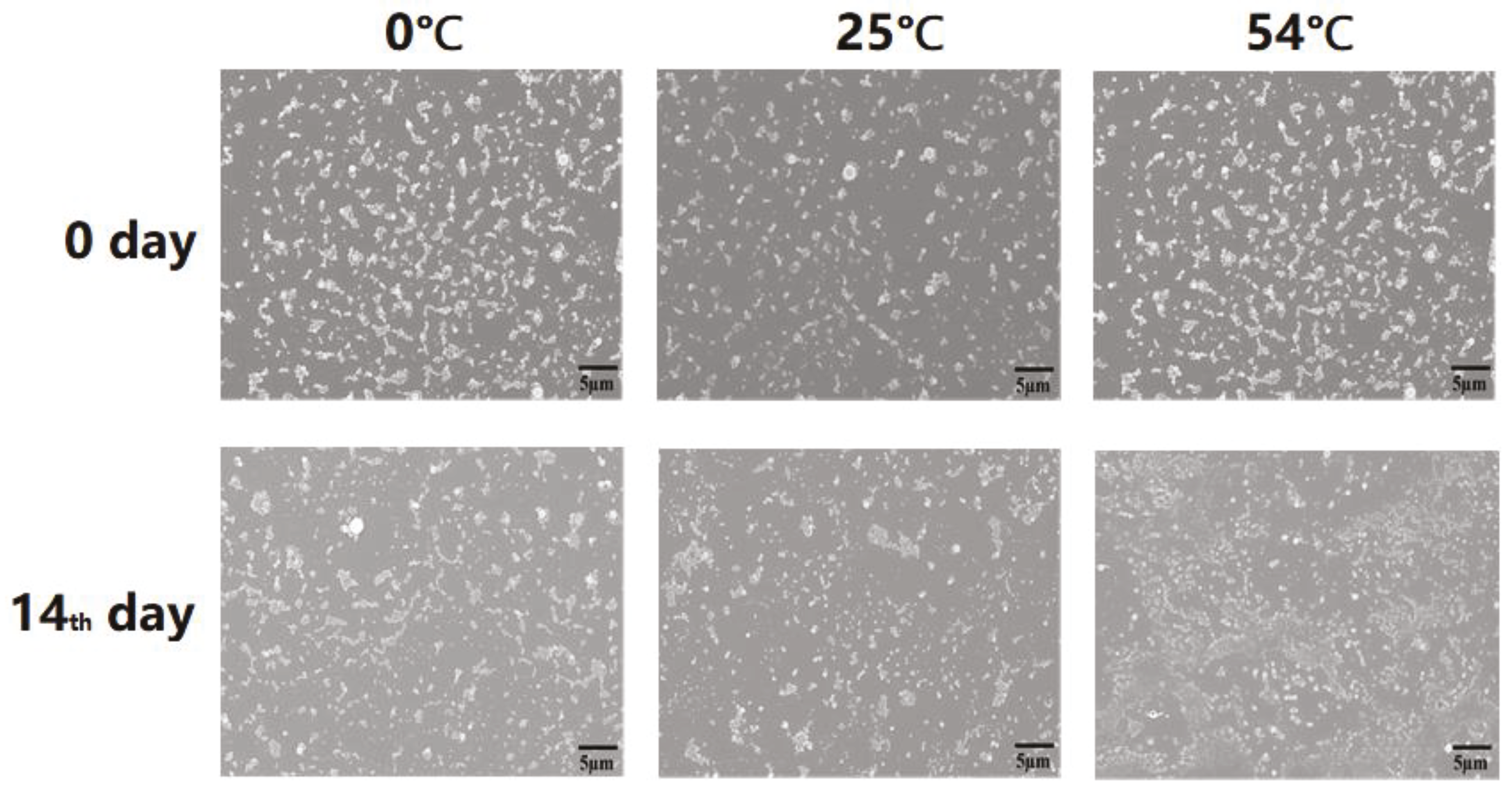 Nanomaterials 11 02730 g008 Nanomaterials 11 02730 g008